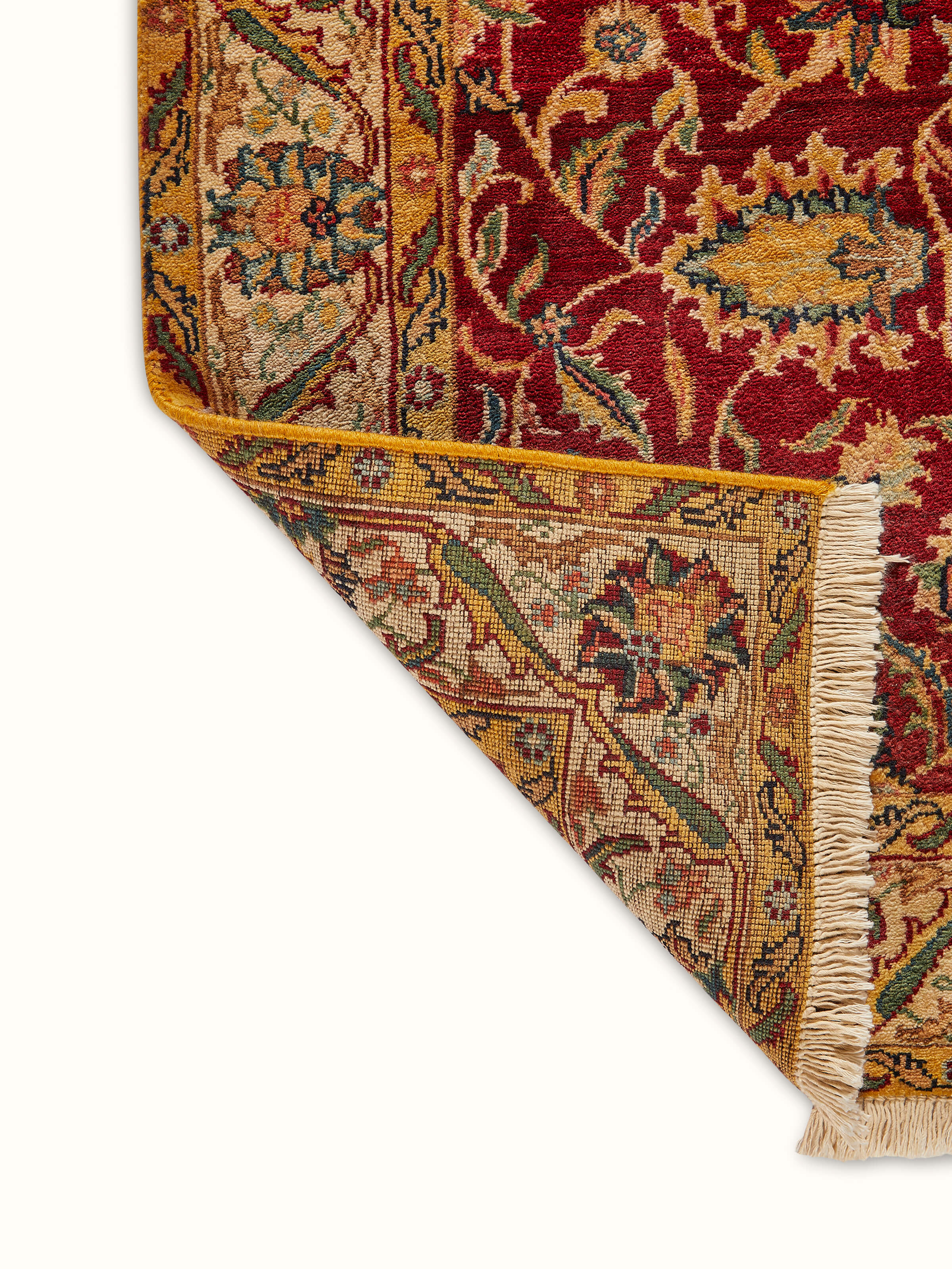 Full view of Ziegler traditional red Jaipur wool hand-knotted carpet rolled out, demonstrating its overall design and size