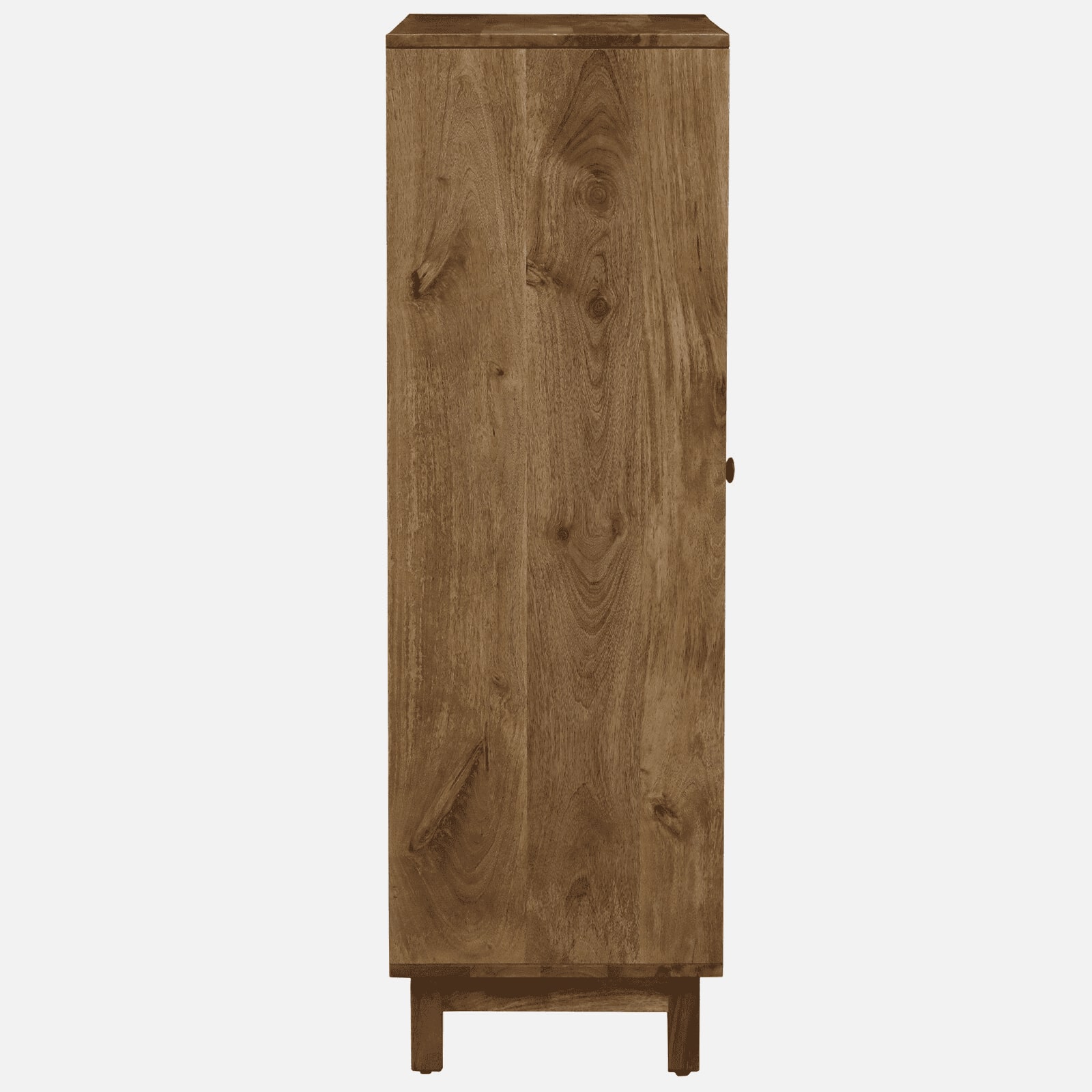 Olyn Mango Wood Handpainted Multicolour 2 Door Tall Cabinet In Natural Finish