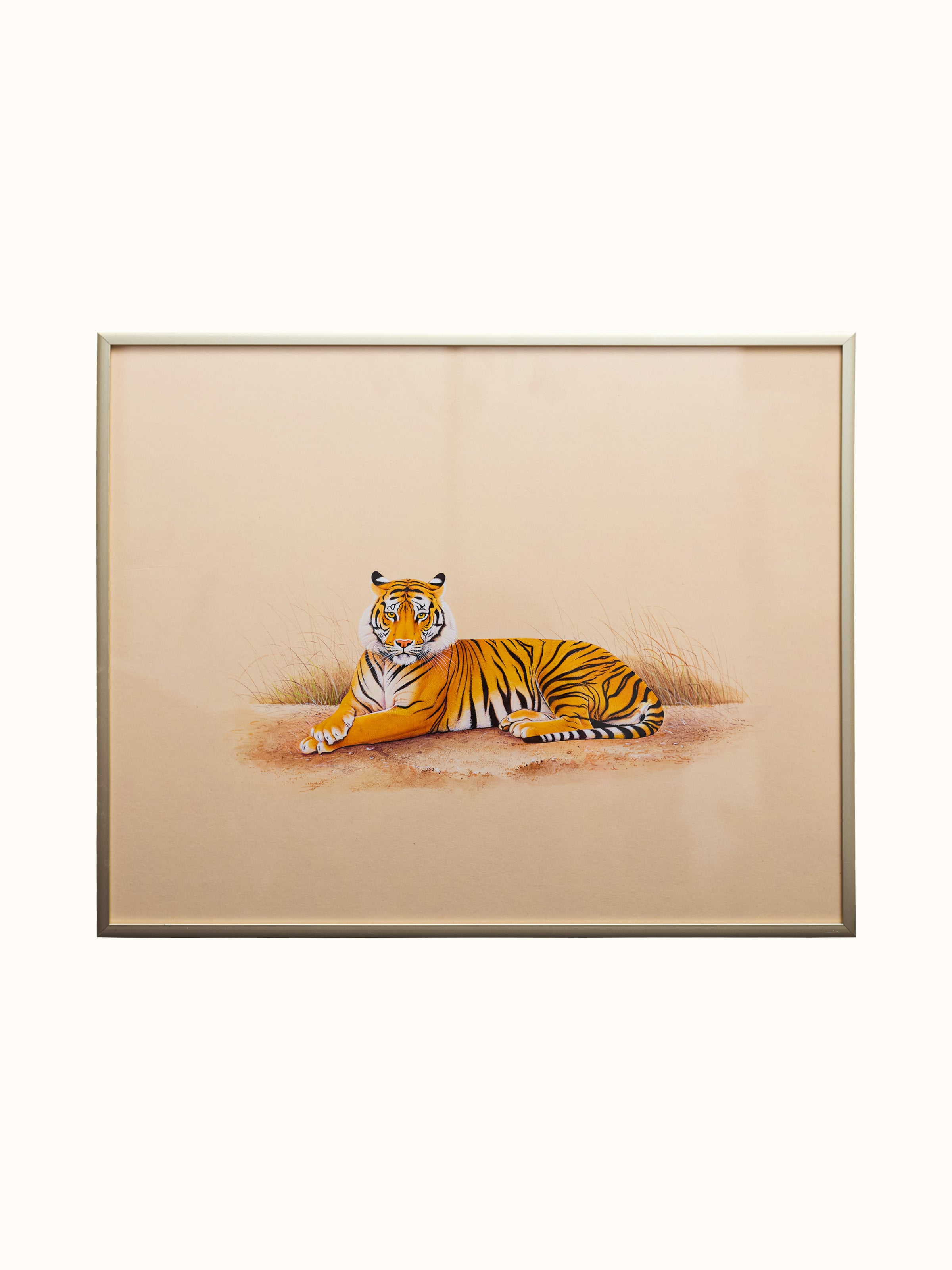 Tiger Miniature Painting