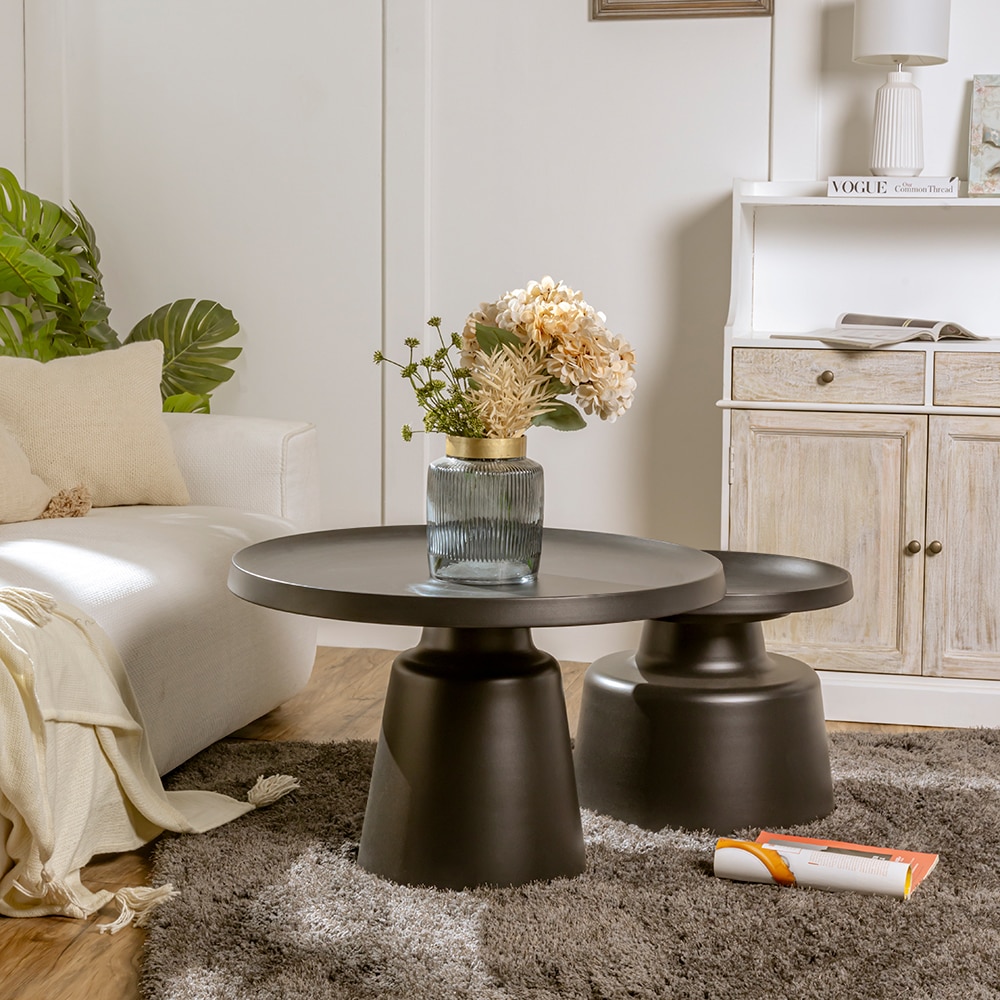 Nora Metal Coffee Table In Black Finish - Living Shape