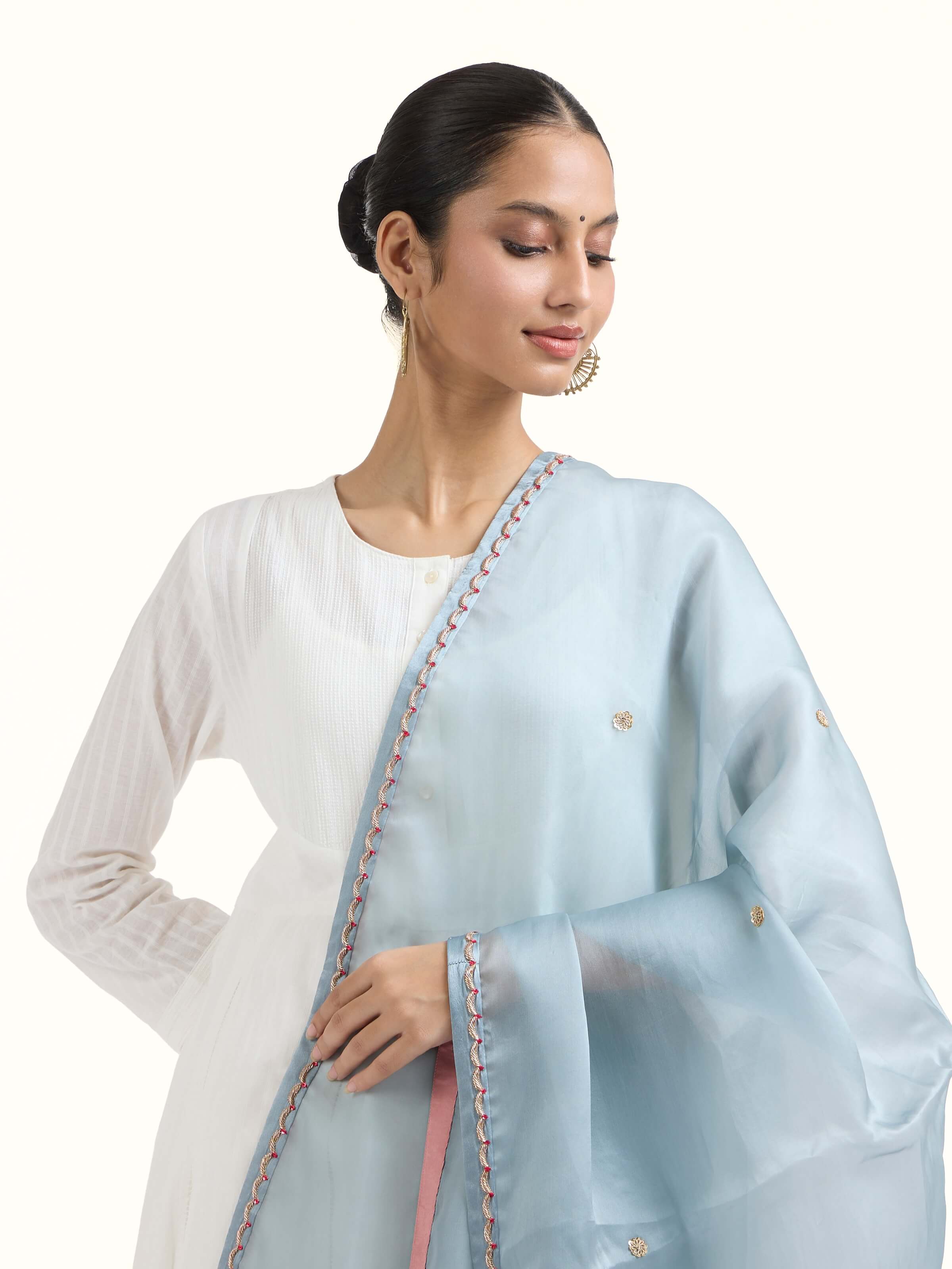 Powder Blue Zardozi Hand Embroidered Dupatta