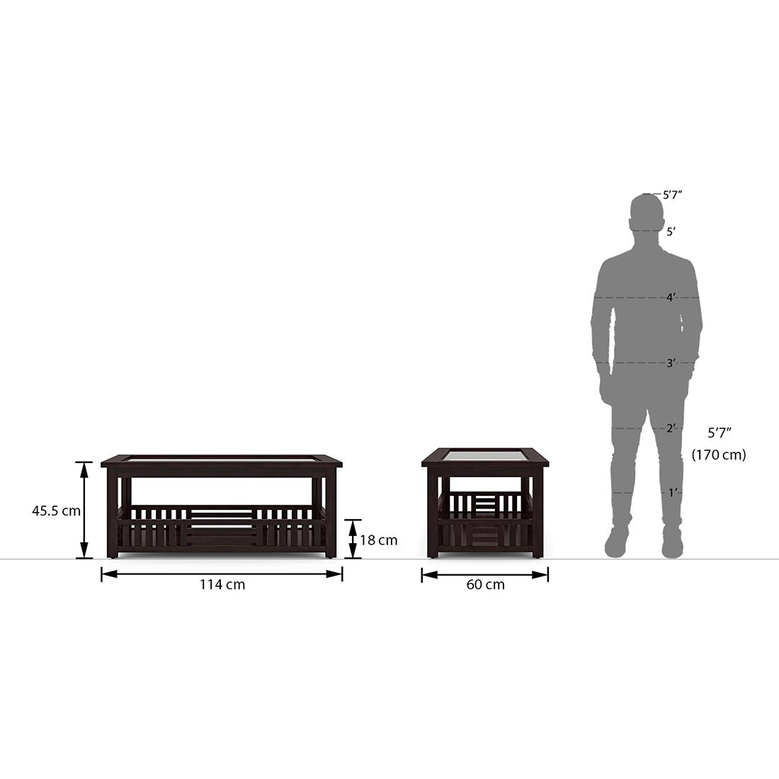 Renesme Rectangular Solid Wood Coffee Table In Mahogany Finish