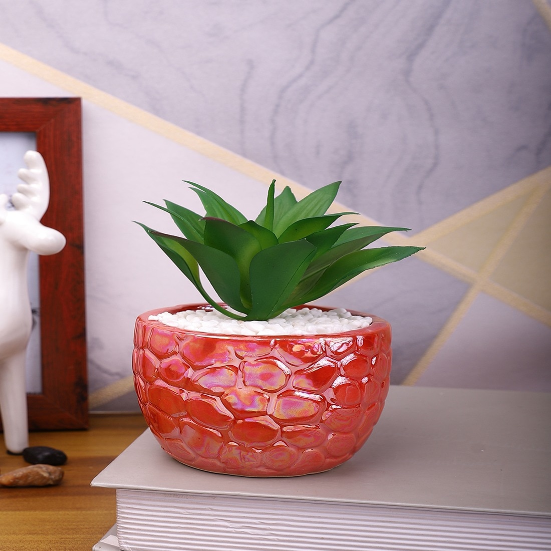 Attractive Aloe Vera Plant With Red Pebble Patterned Design Ceramic Pot