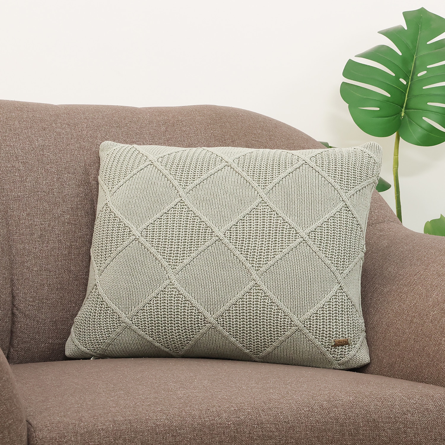 Danube Desert Sage Cushion Cover 16X16  Inches - Pluchi