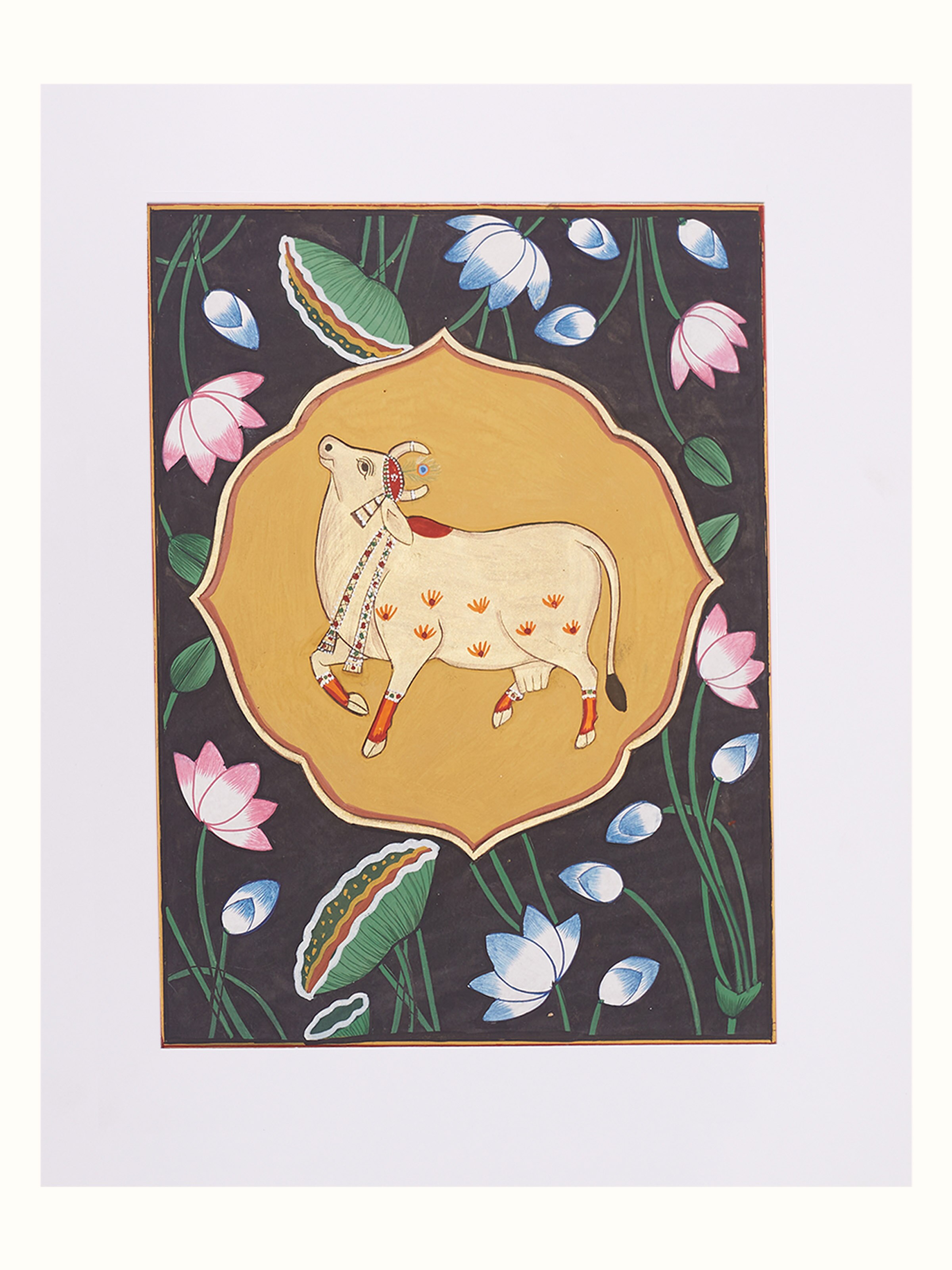 Cow Kamal Talai Pichwai Painting
