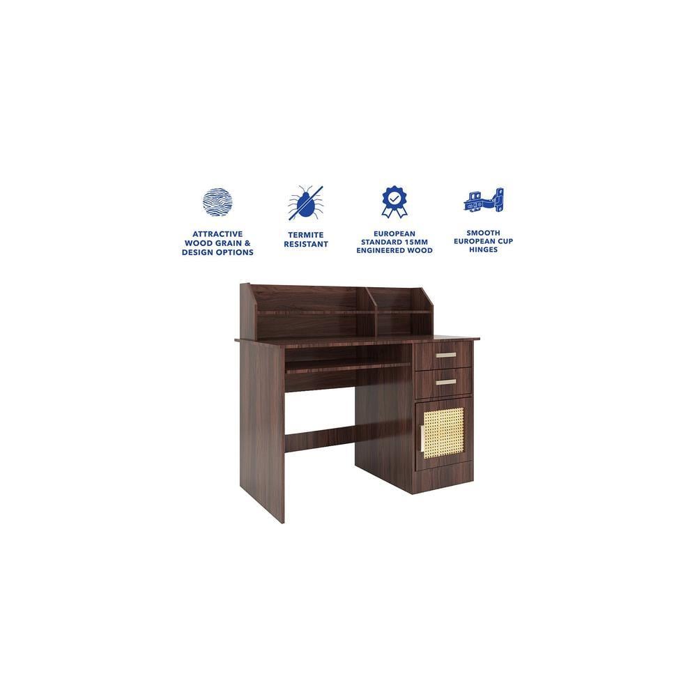 Shamon Study Table (Rattan Door)