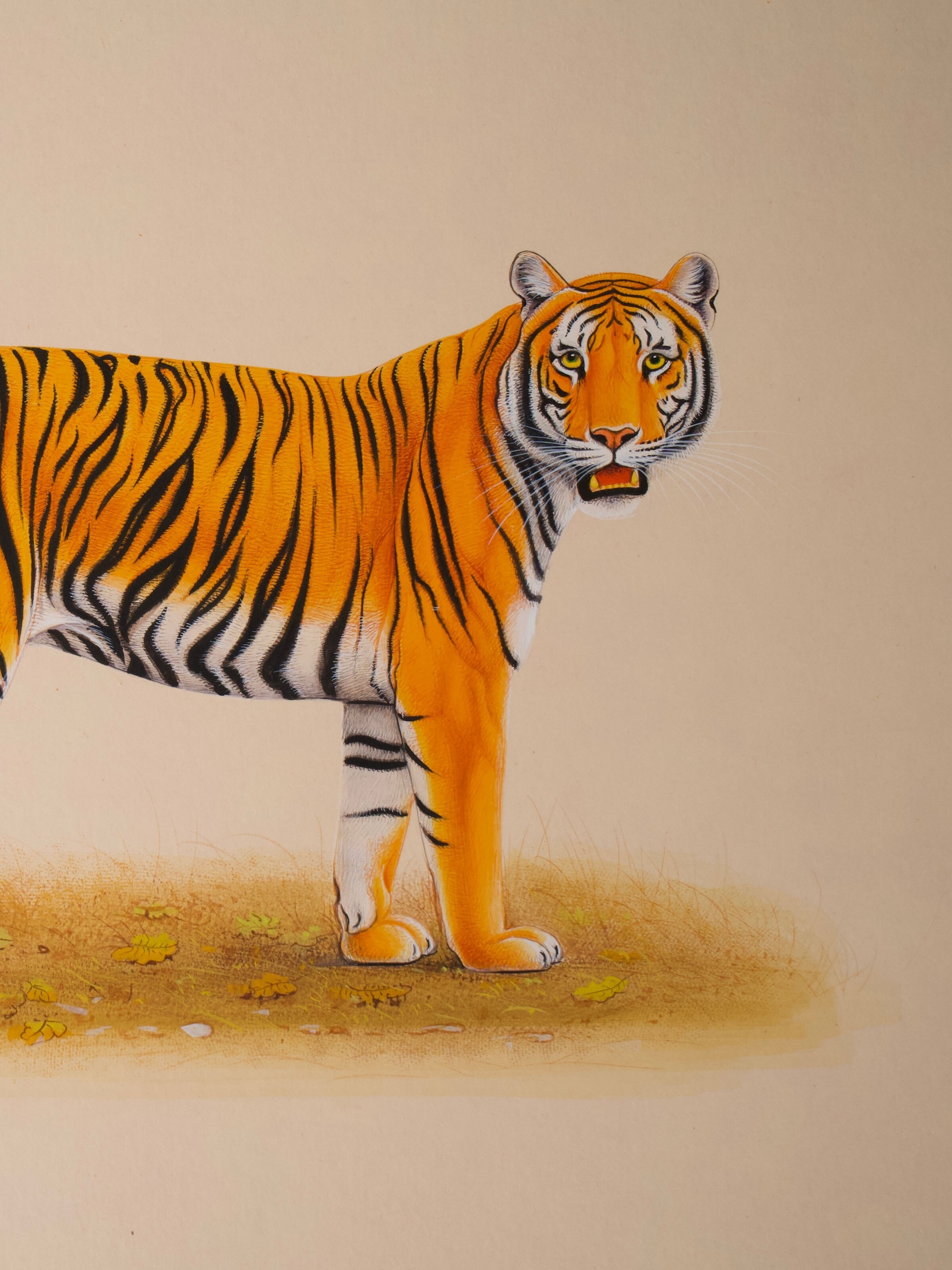 Tiger Miniature Painting