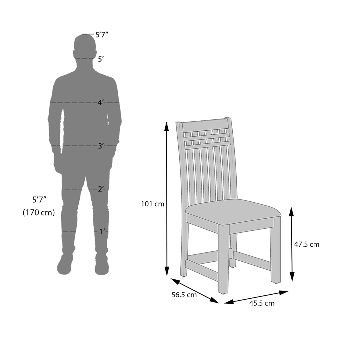 Diego Dining Chair In Mahogany Finish And Macadamia Brown Colour