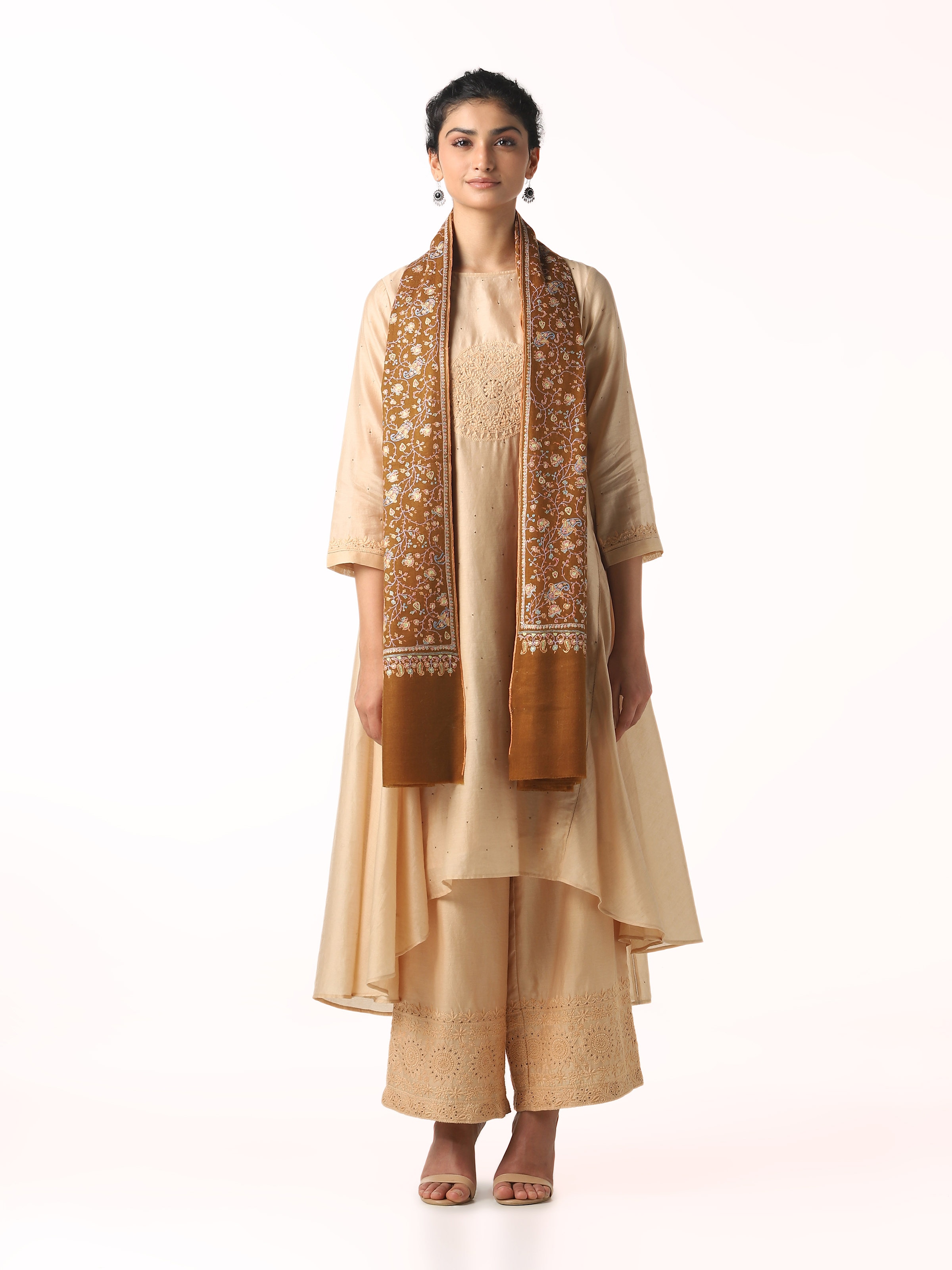 Front view of brown neemjali sozni embroidered shawl with detailed embroidery