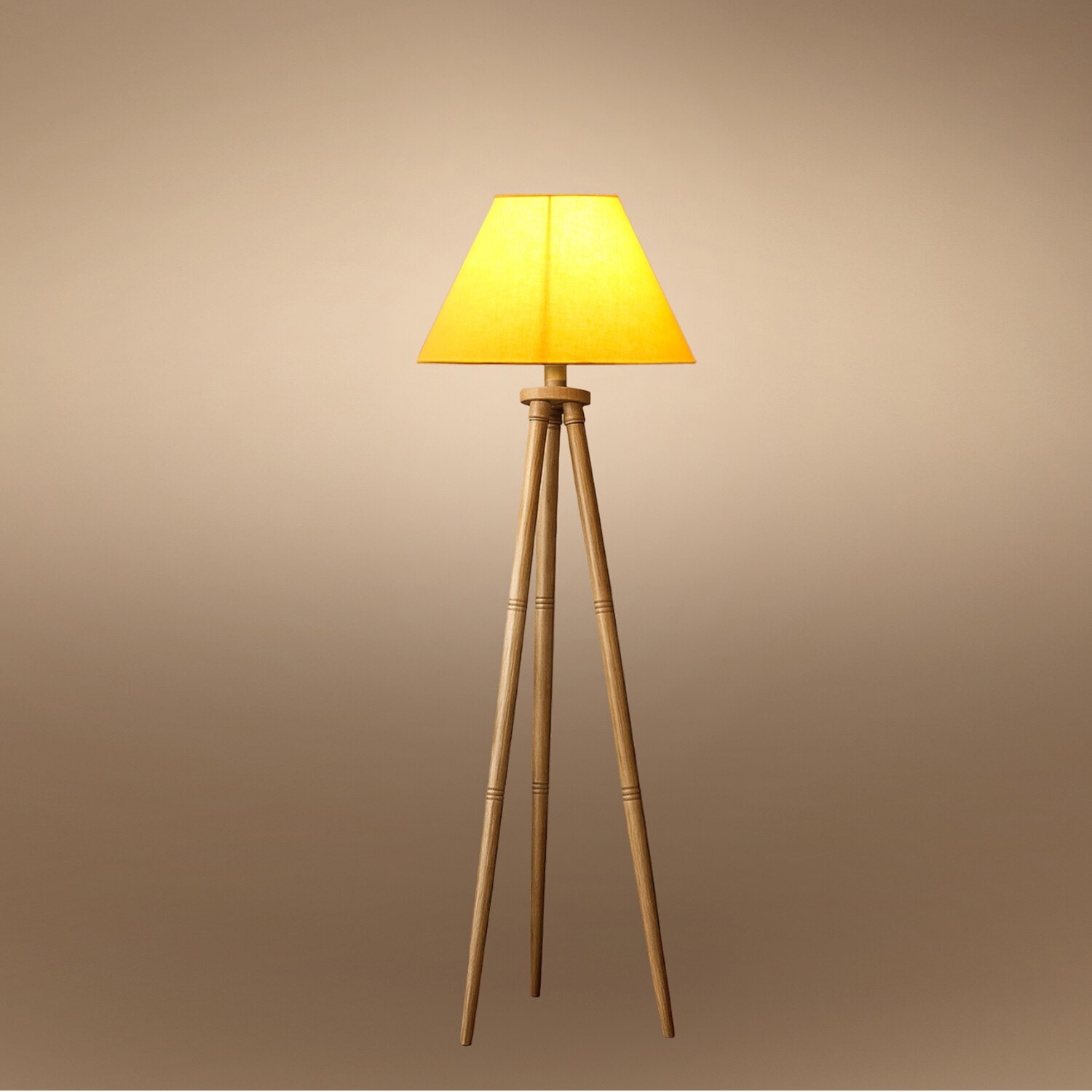 Devansh Tripod Floor Lamp