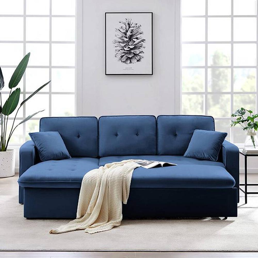 William Solid Wood Sofa cum Bed in Navy Blue