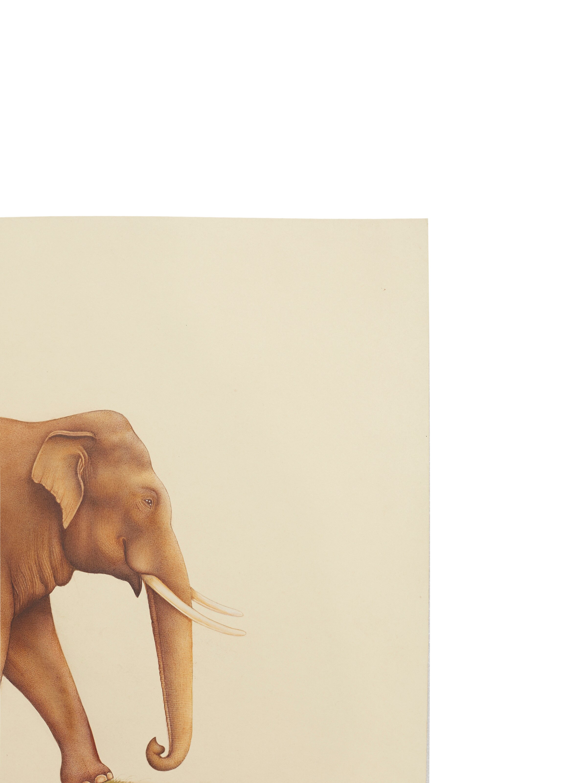 Elephant with Savari Miniature Painting