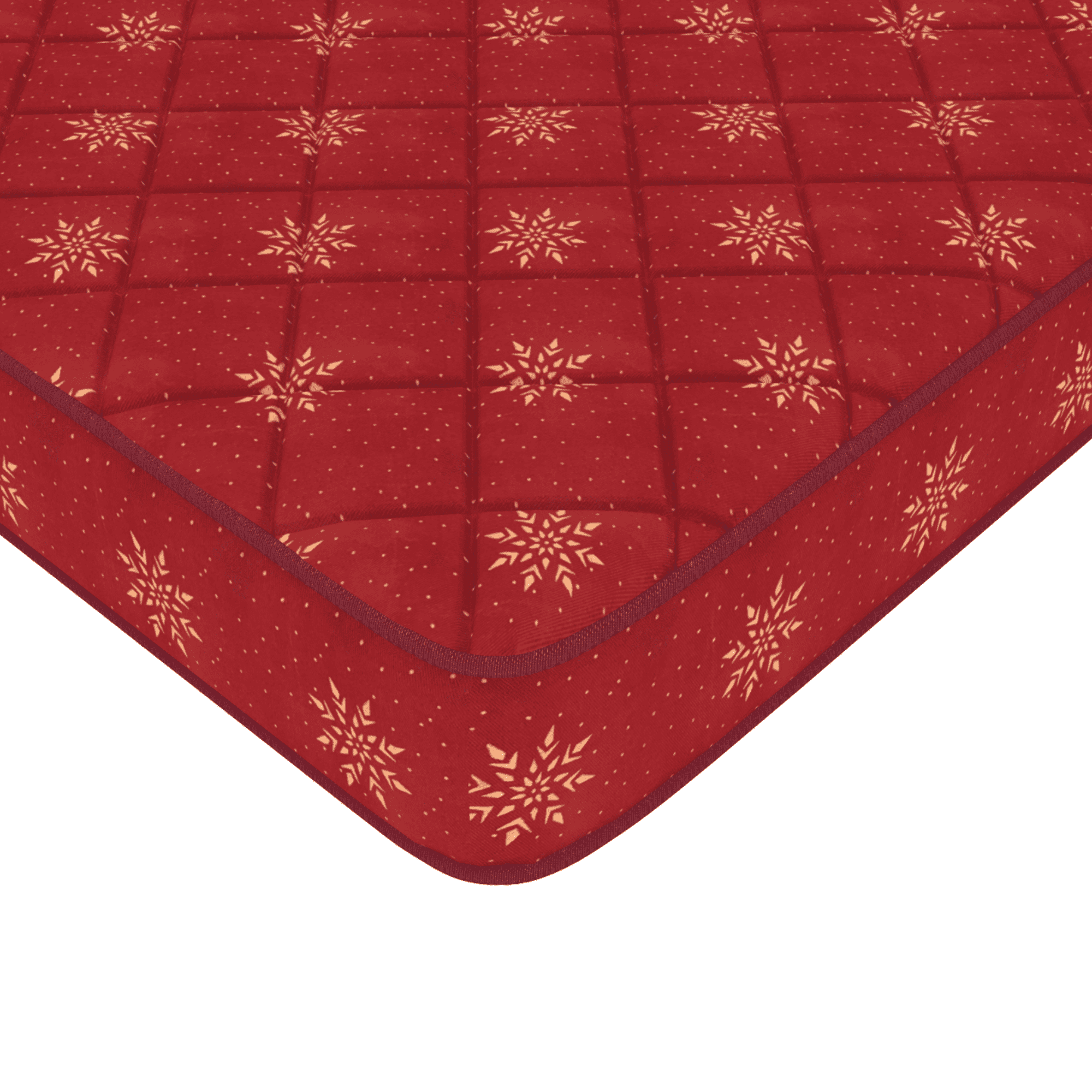 Resteria Bio Foam Coir Mattress