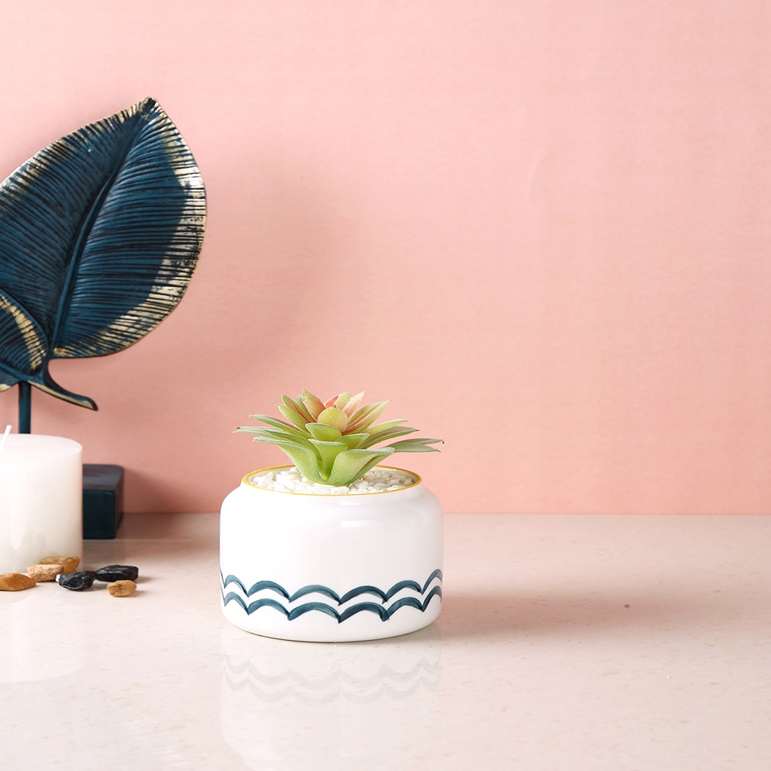 Pristine And Awe-Struck Indoor Succulent Plant With White Ceramic Pot