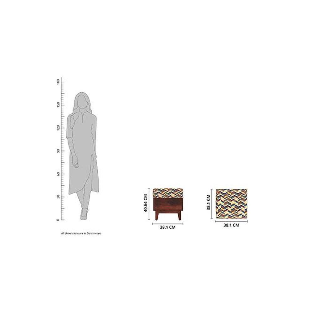 Olive Solid Wood  Ottomon in  Multicolor Colour