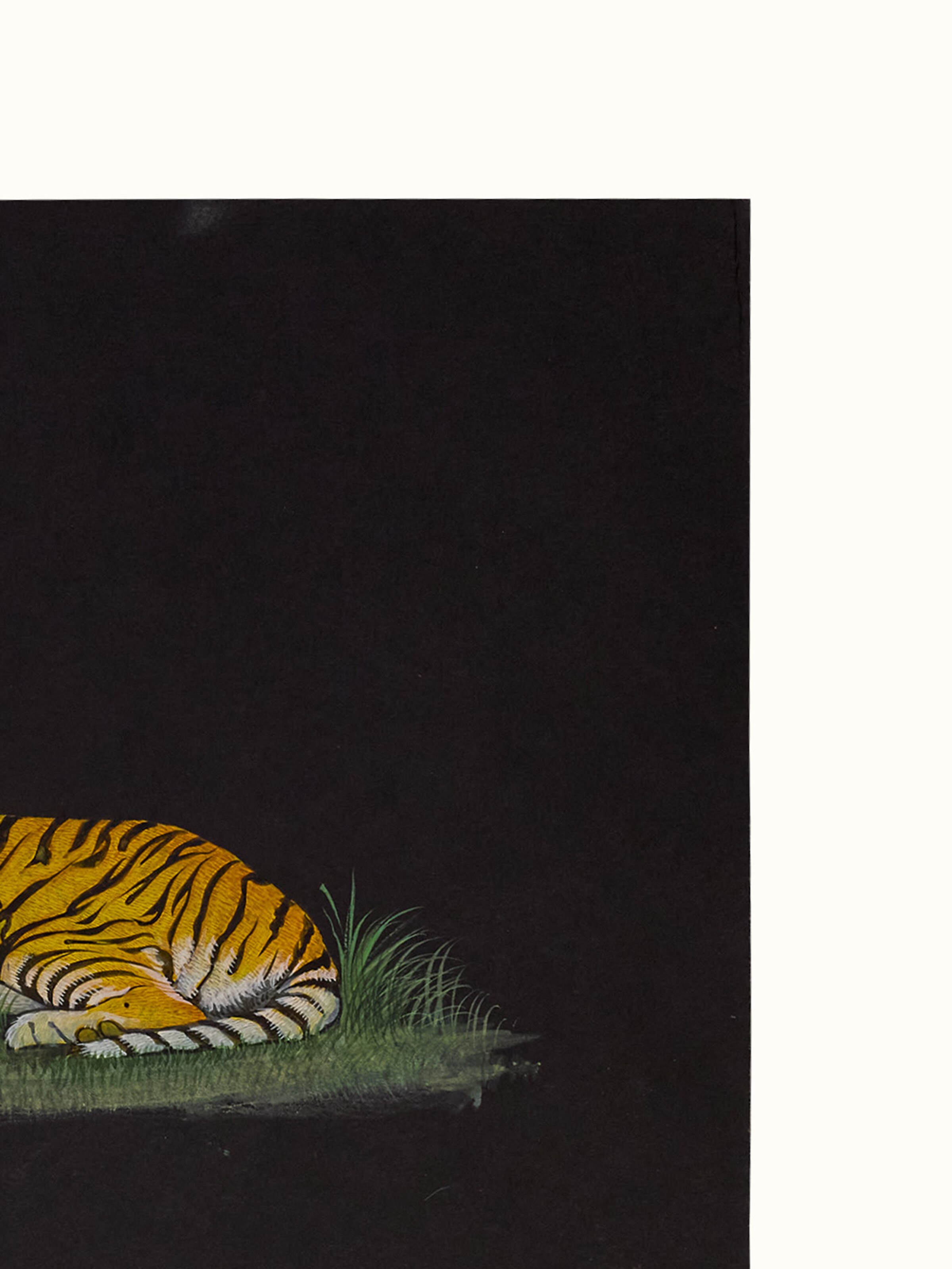 Tiger Miniature Painting