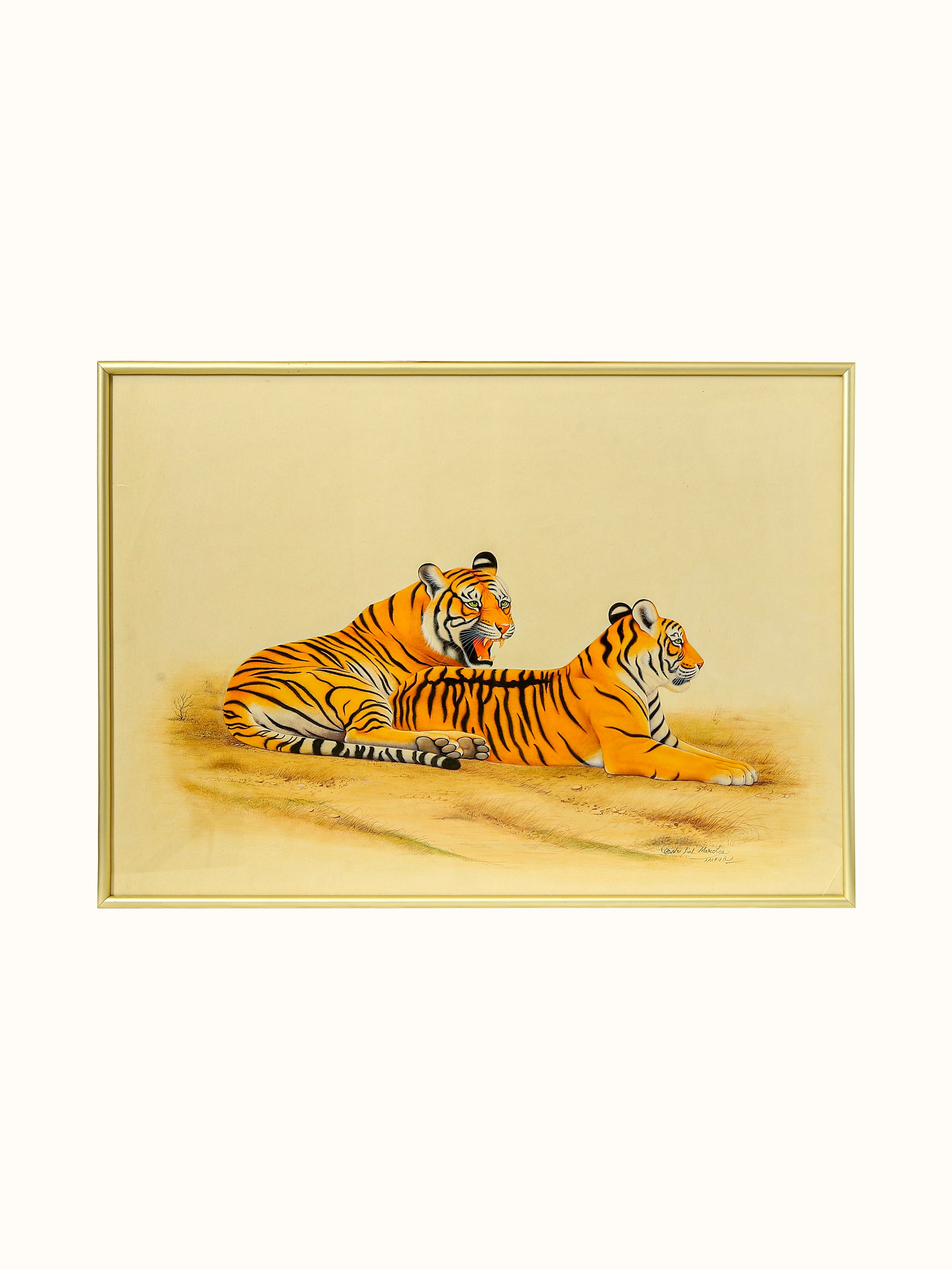 Tiger Miniature Painting