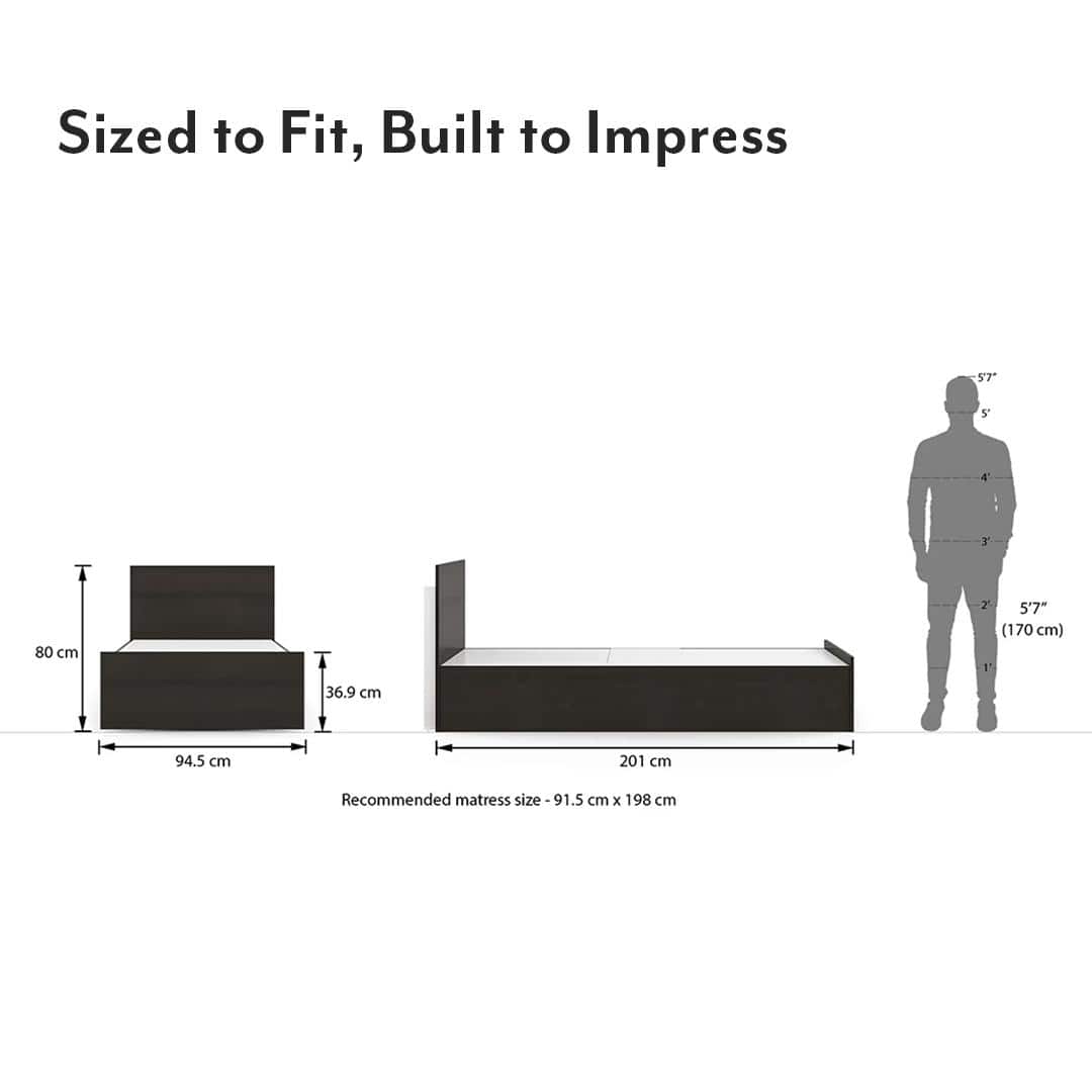 Wren Engineered Wood Single Size Box Storage Bed In Dark Wenge Finish