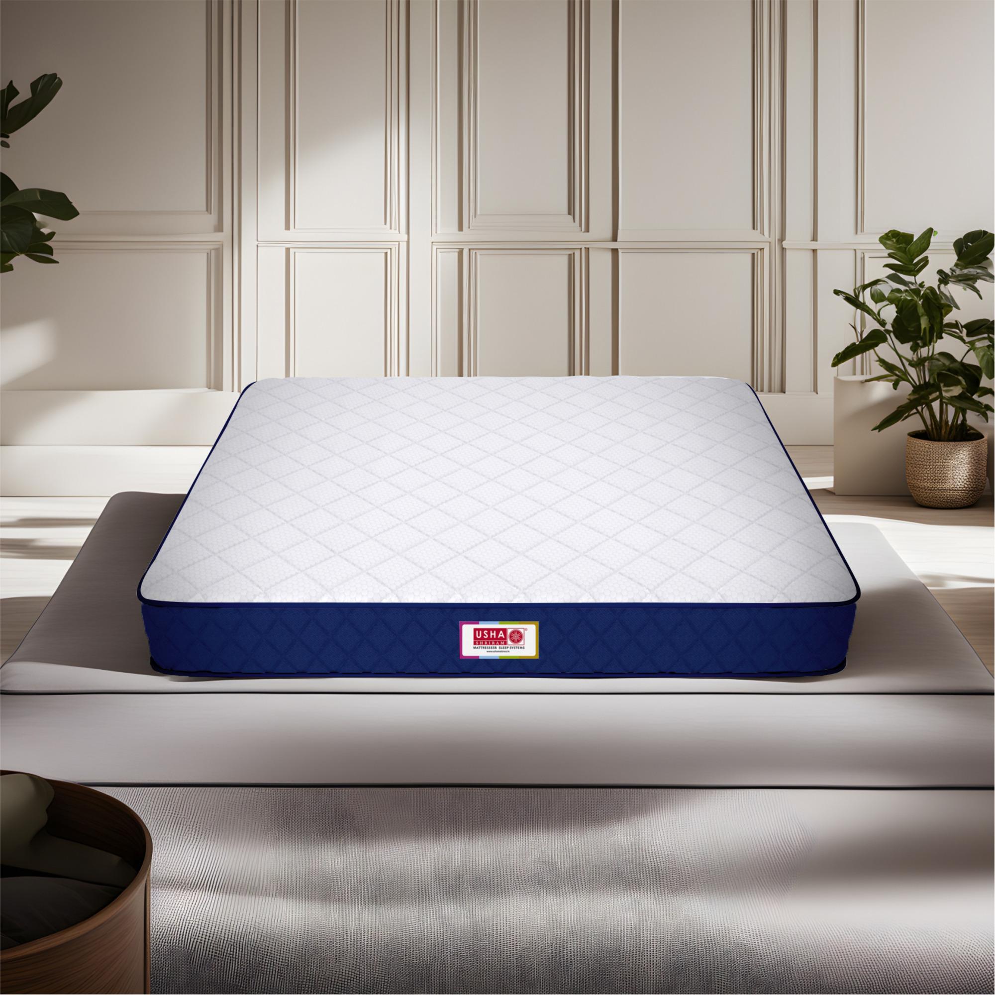 Back Master Biofoam Oragnic Bonded Foam Mattress