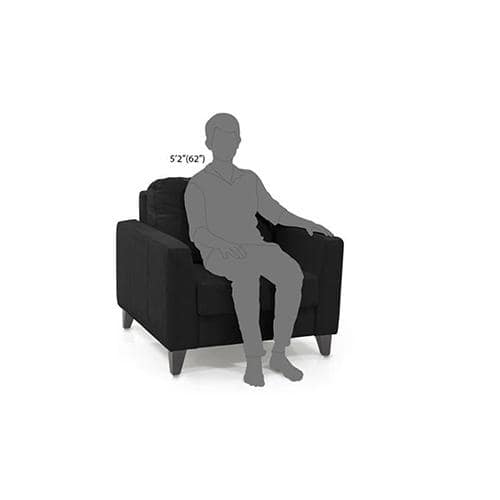 Franco 1 Seater Leather Sofa in Licorice Colour