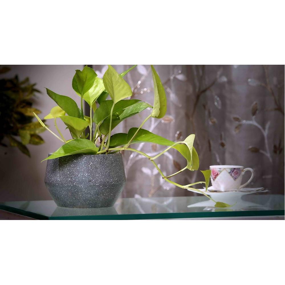 Dana Grey Marble Planter