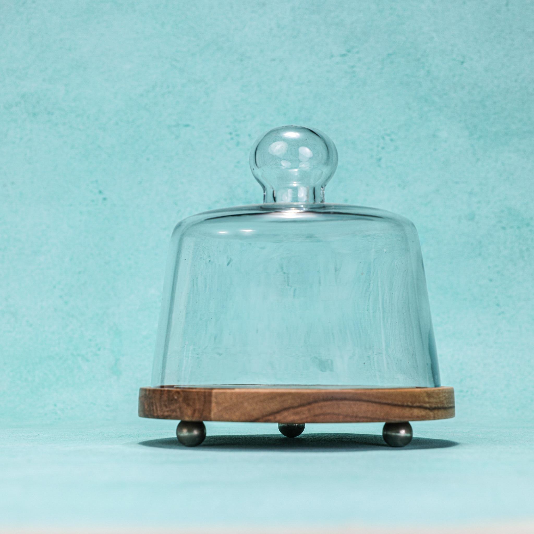 Ireka Homes Sugar Shell Acacia Wood Cake Stand with Glass Dome - Ireka Homes
