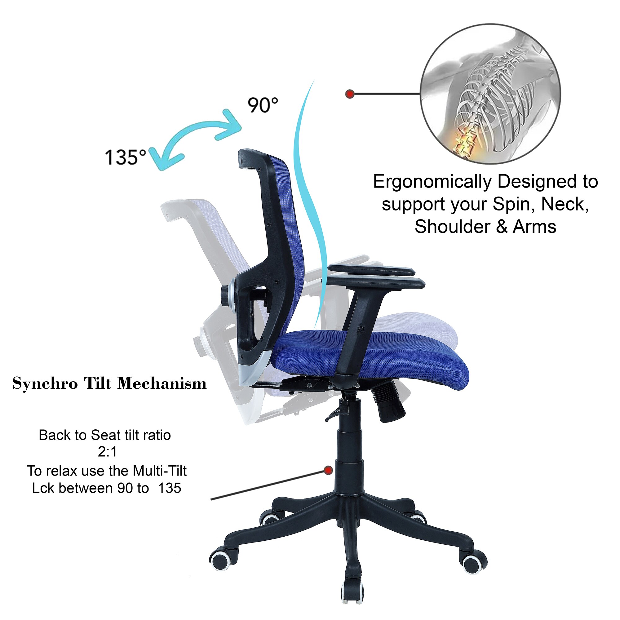 Peacifice Mid Back Ergonomic Chair in Blue Colour