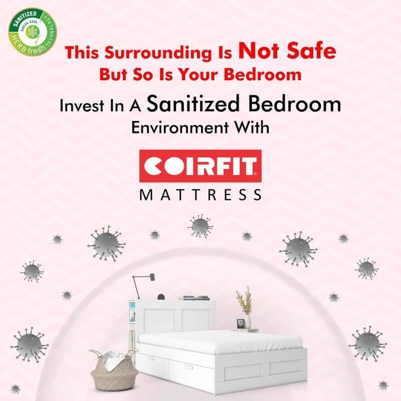 Zone Magno Pocket Pro Spring Mattress (75 x 30 in, 10 Inches)