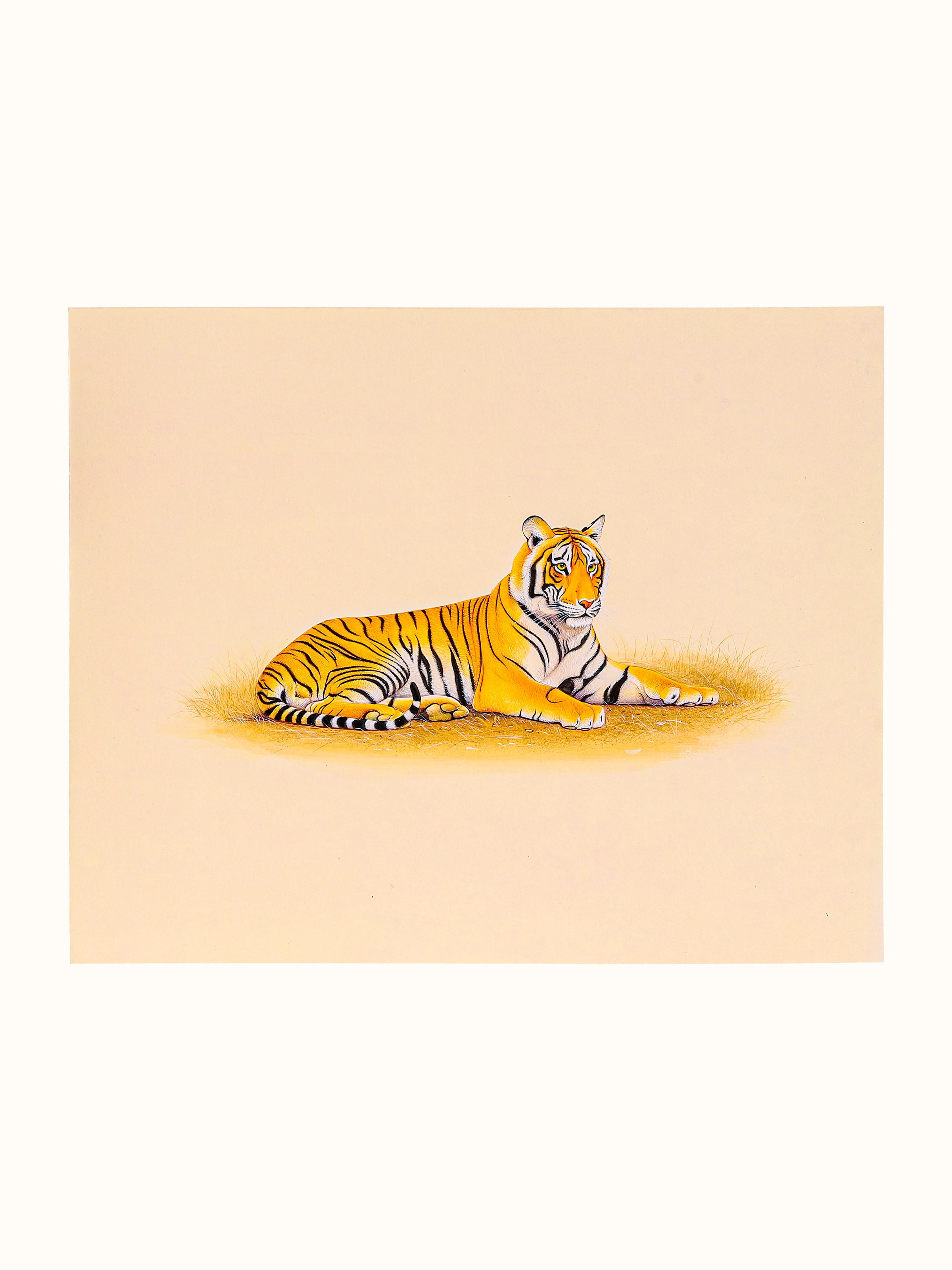 Tiger Miniature Painting