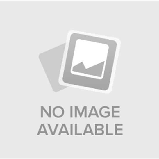 MUGHAL SCENE, MULTI, FS-