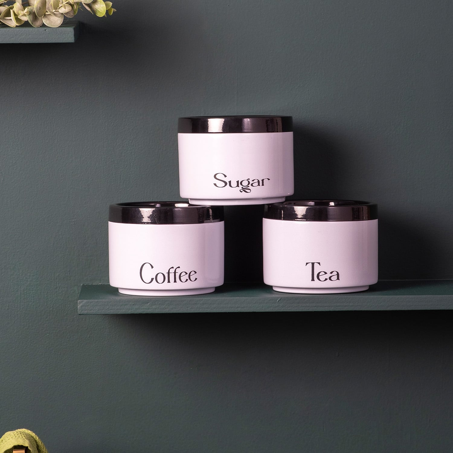 Sleek Canister And Jars Set Of 3 For Storage