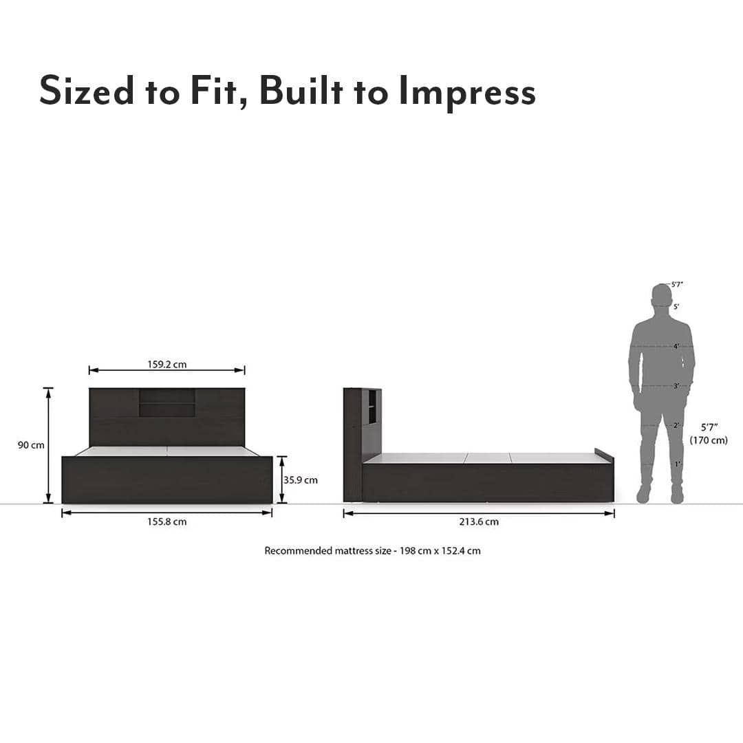 Amy Engineered Wood Queen Size Box Storage Bed In Dark Wenge Finish