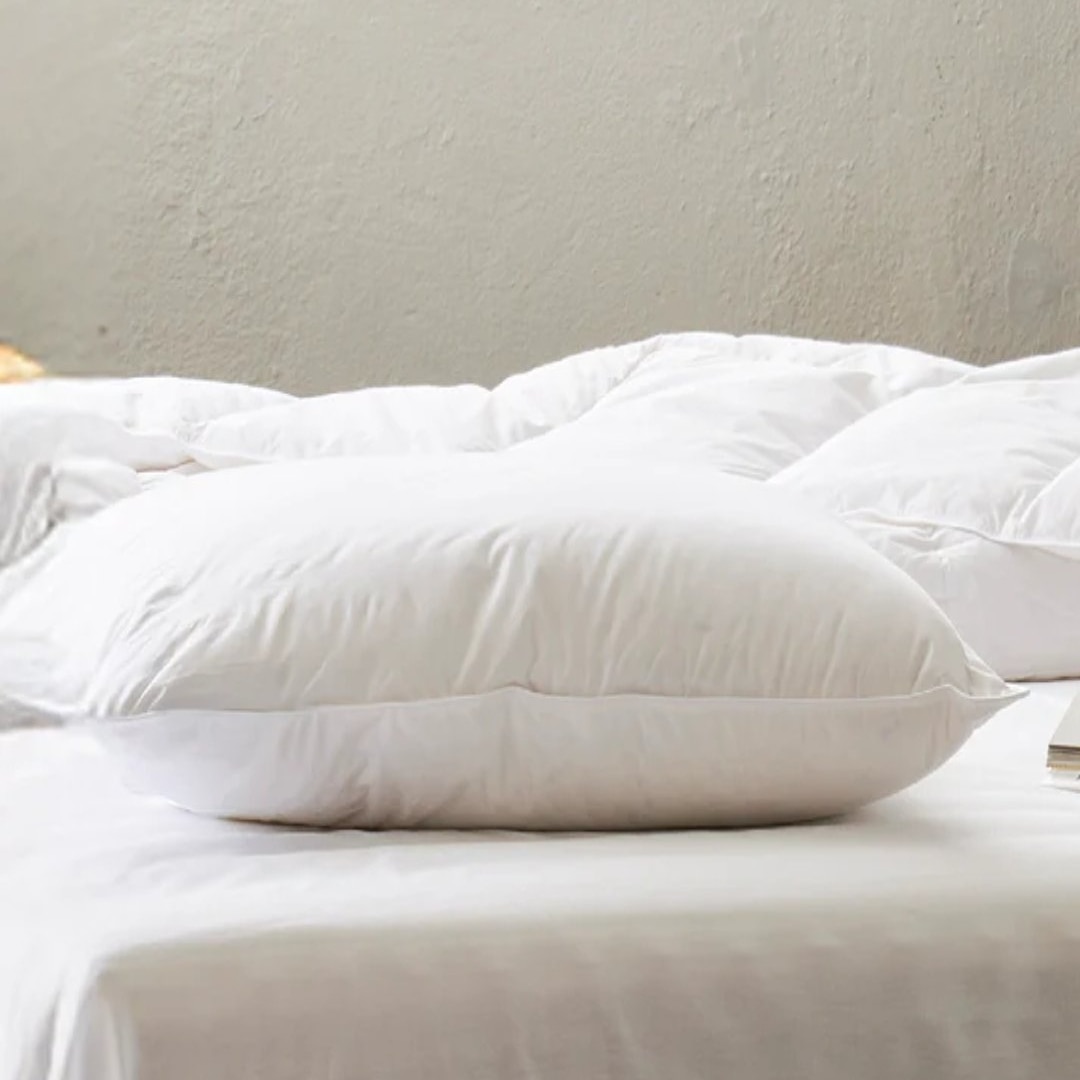Comfort Medium Firm Duck Feather Pillow 50 X 70 cm - Shrnm