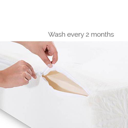 Aer Latex with Memory Foam Queen Size Mattress (Mattress Thickness : 8 Inches, Mattress Dimensions : 78 x 60 in)