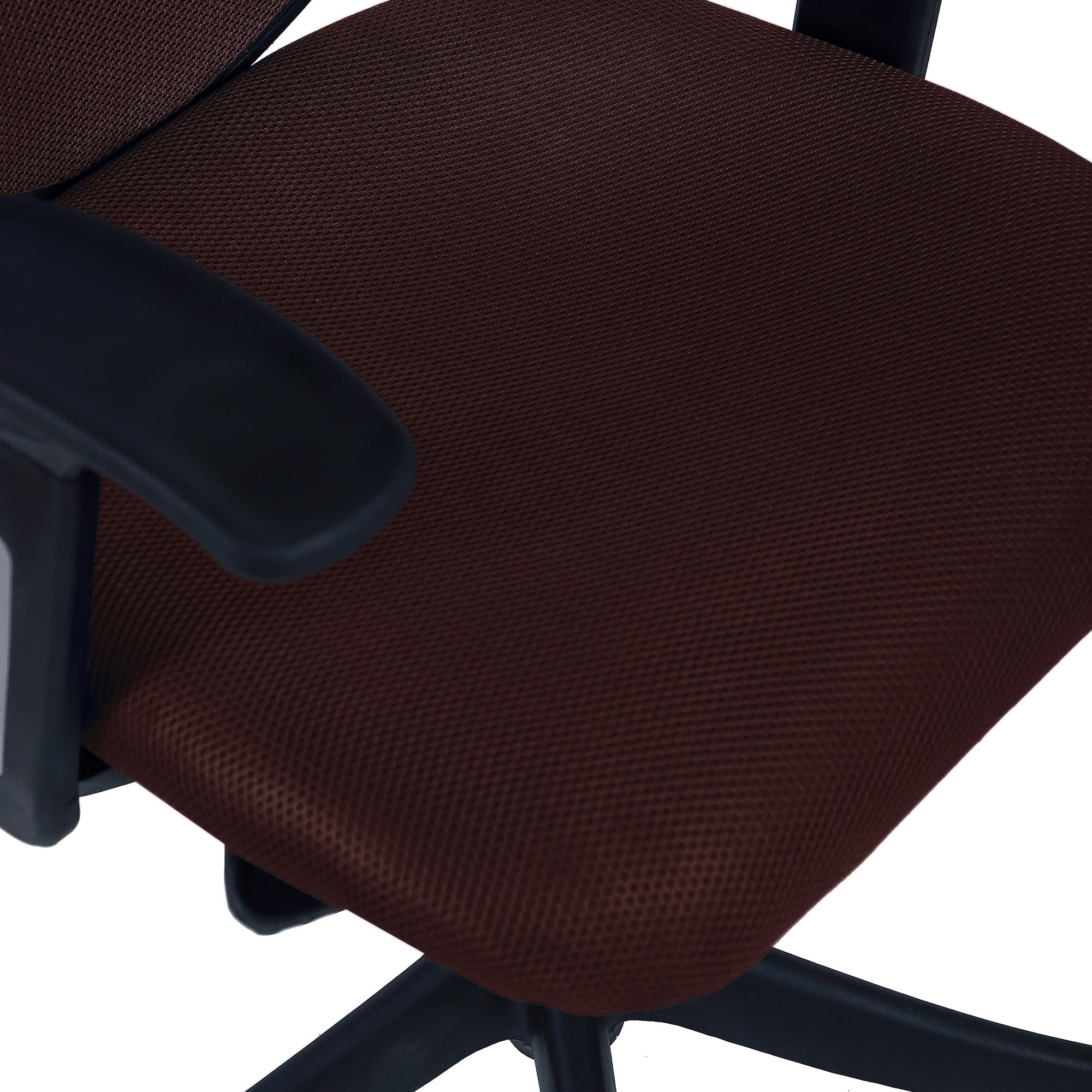 Odrione Low Back Ergonomic Chair in Brown Colour