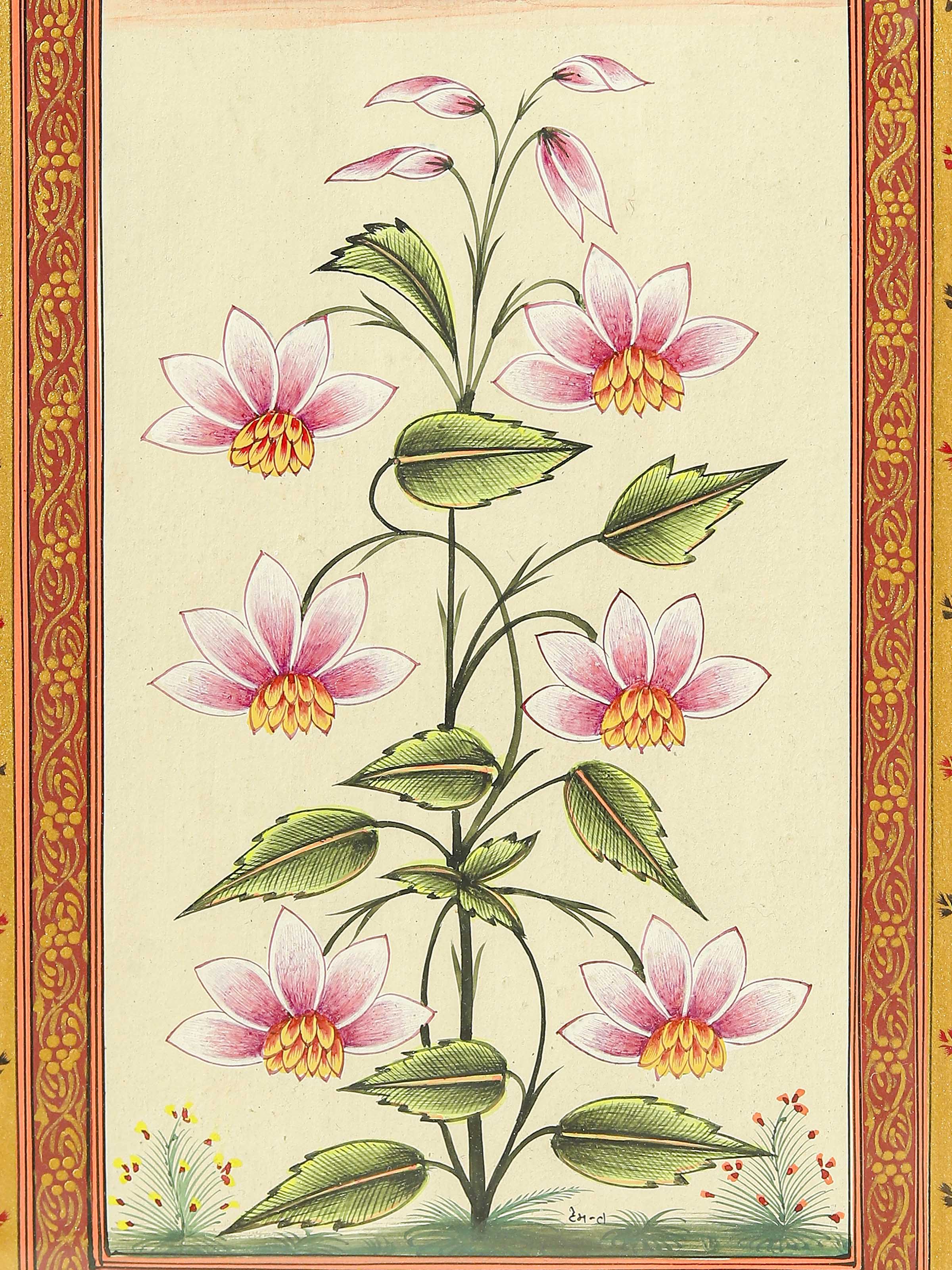 Flower Colorful Border Miniature Painting