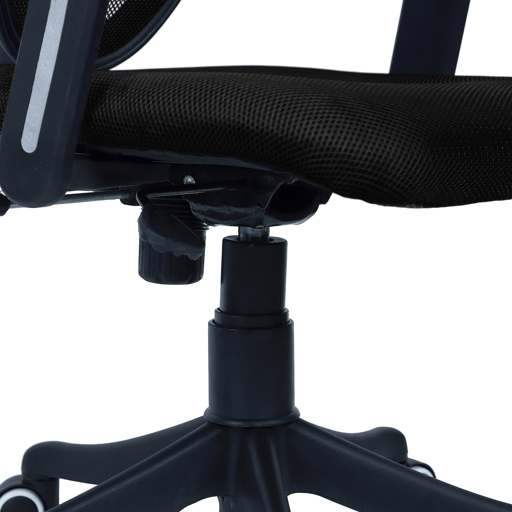 Aaeroa Low Back Ergonomic Chair in Black Colour
