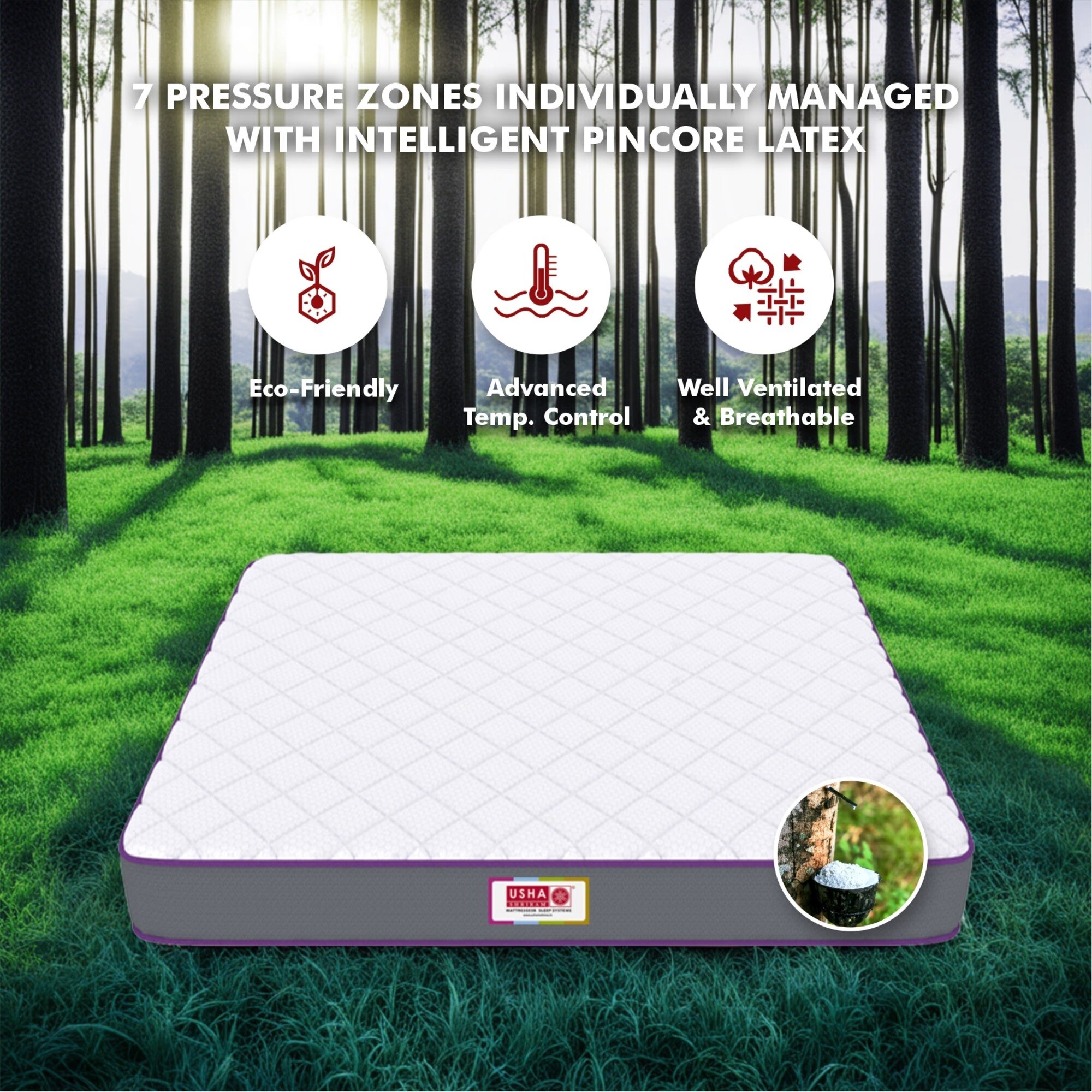 Midnight Latexo Dual High Resilience (72 x 42 in, 6 Inches)