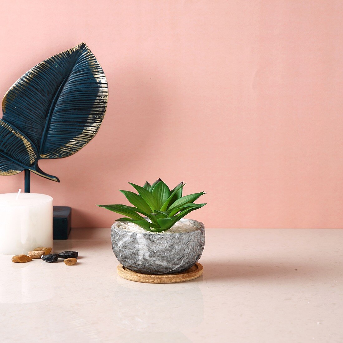Artificial Aloe Vera Plant In A Patterned Ceramic Pot With A Wooden Plate
