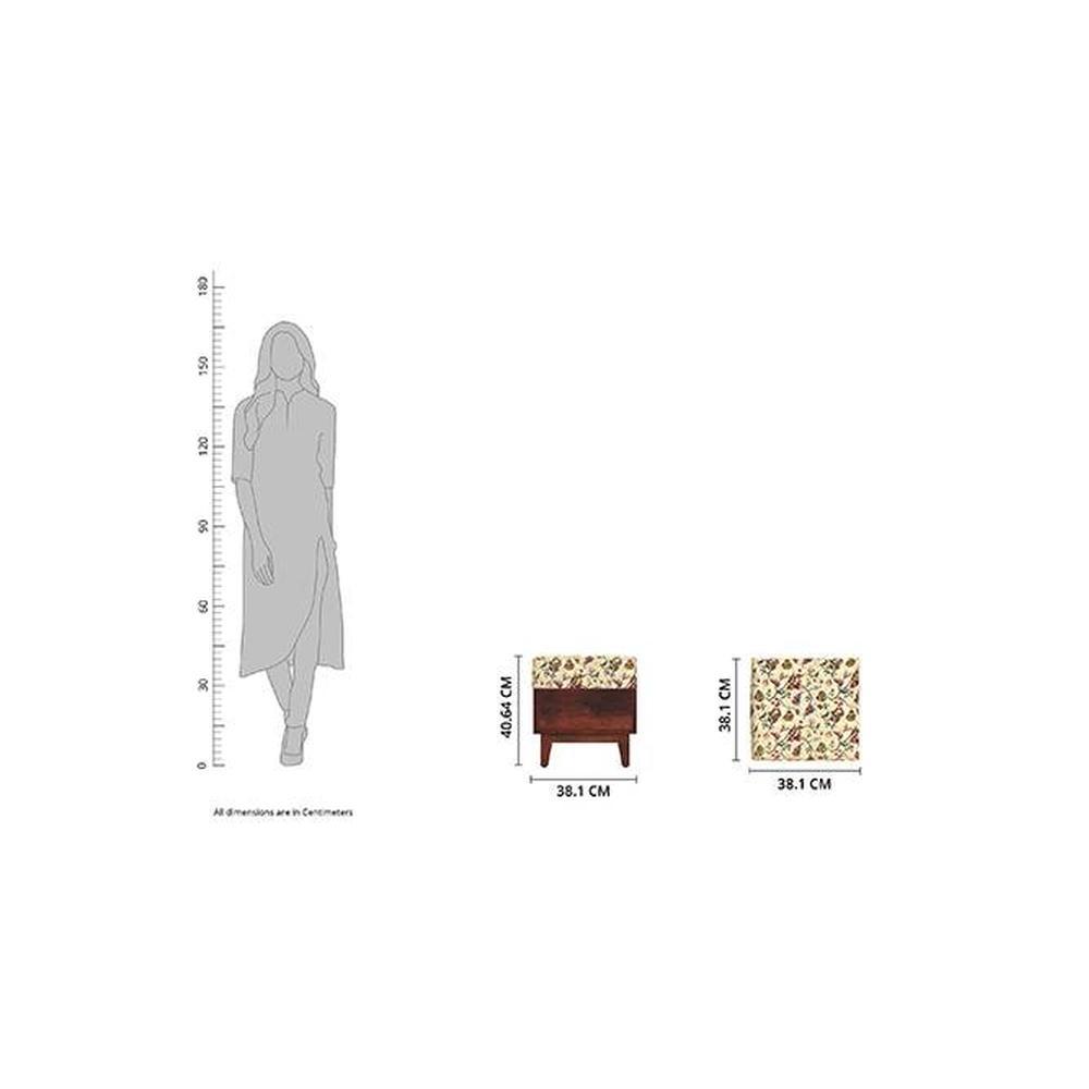 Olive Solid Wood  Ottomon in  Multicolor Colour