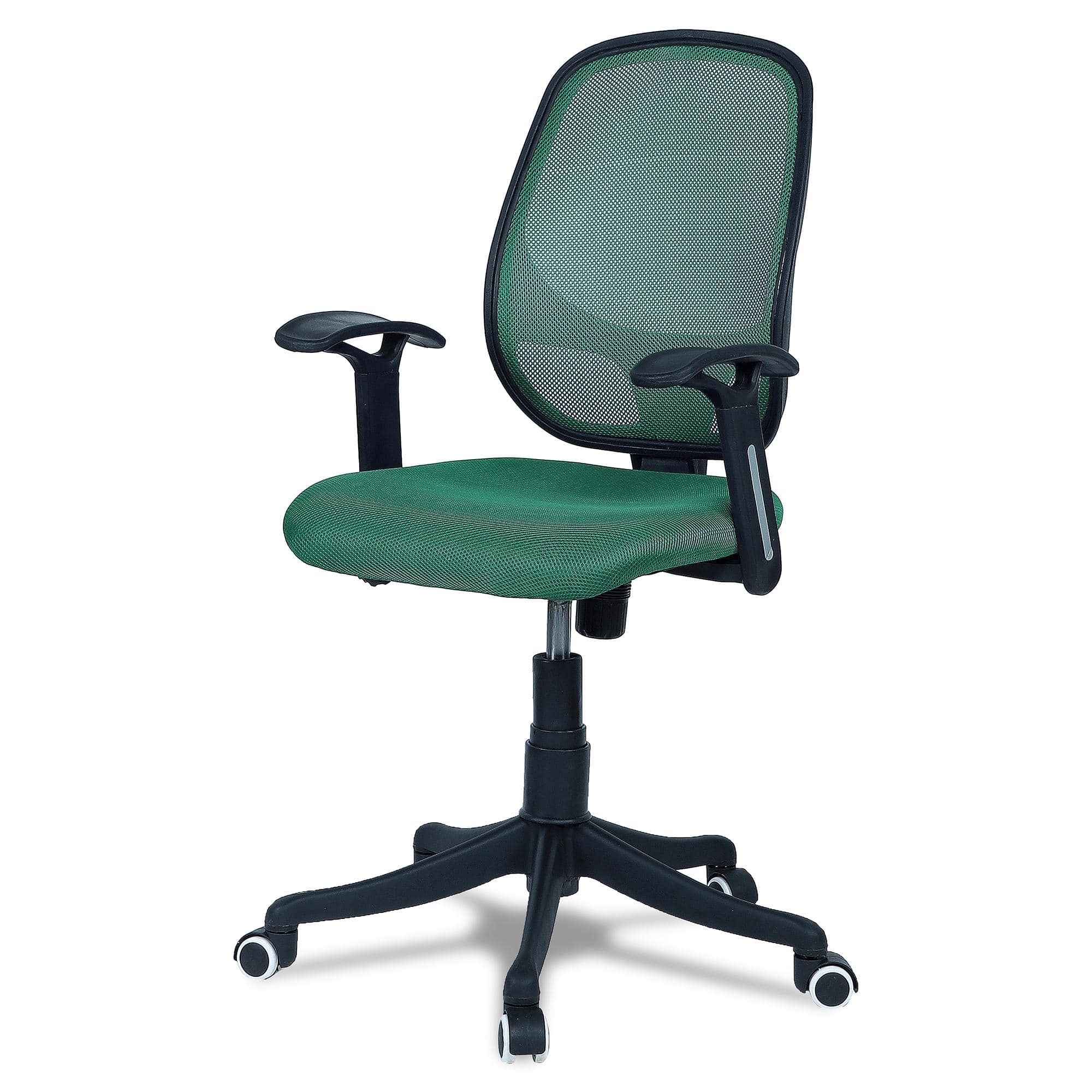 Goolda Low Back Ergonomic Chair in Dark Green Colour
