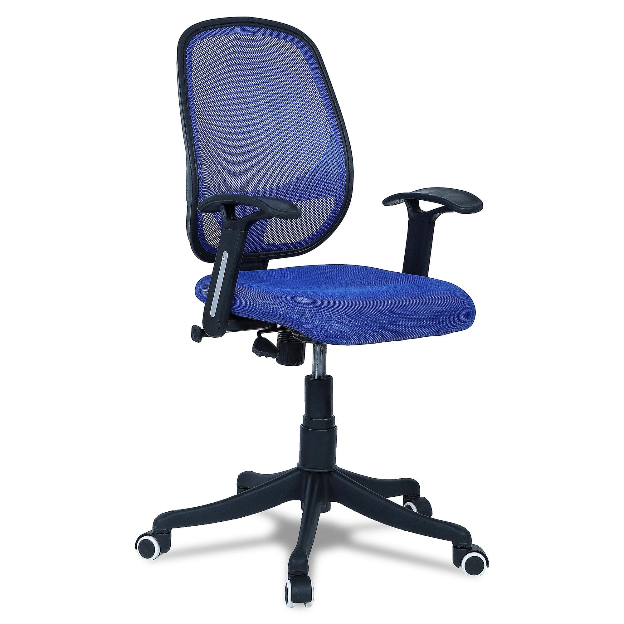 Goolda Low Back Ergonomic Chair in Blue Colour