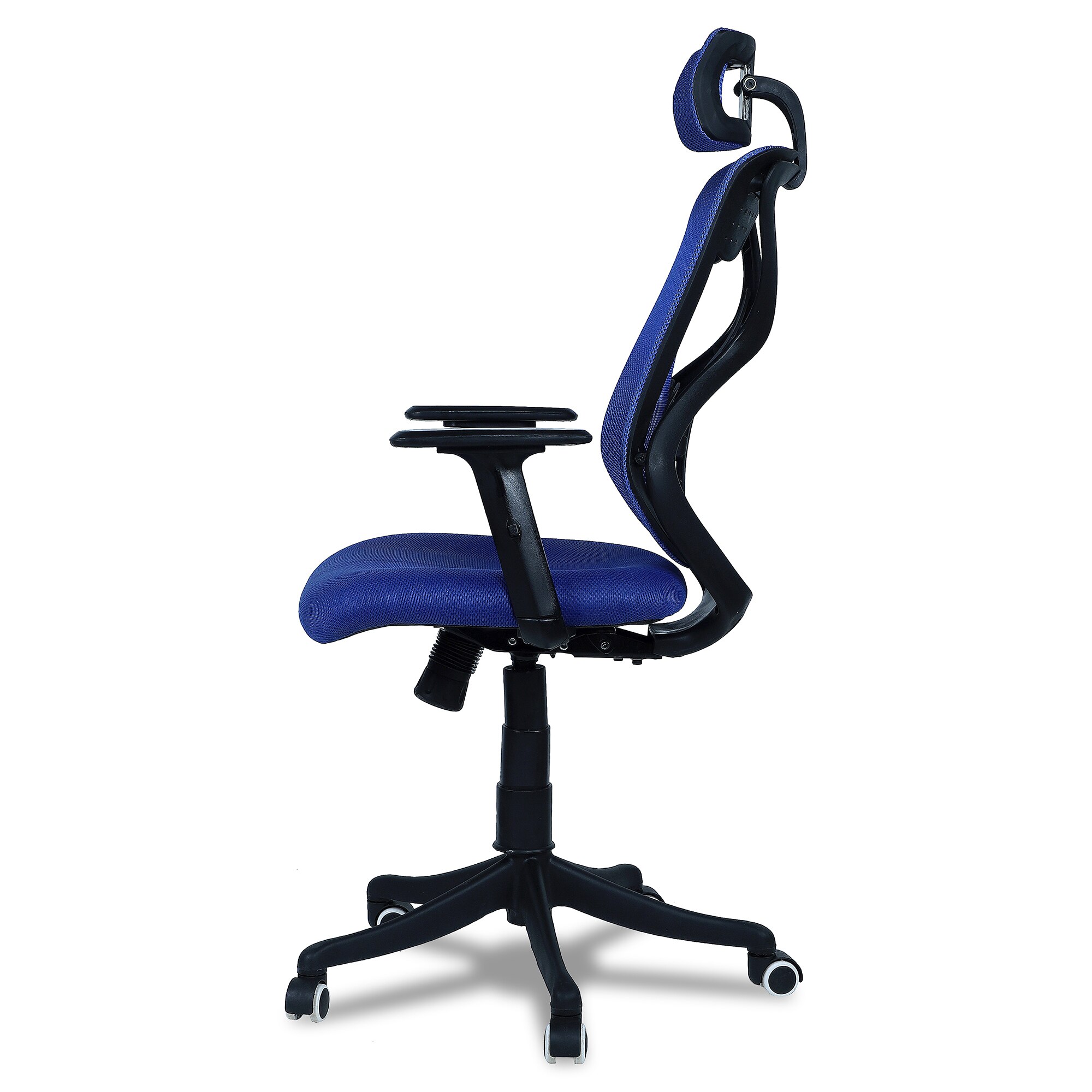 Zeeazyana High Back Ergonomic Chair in Blue Colour