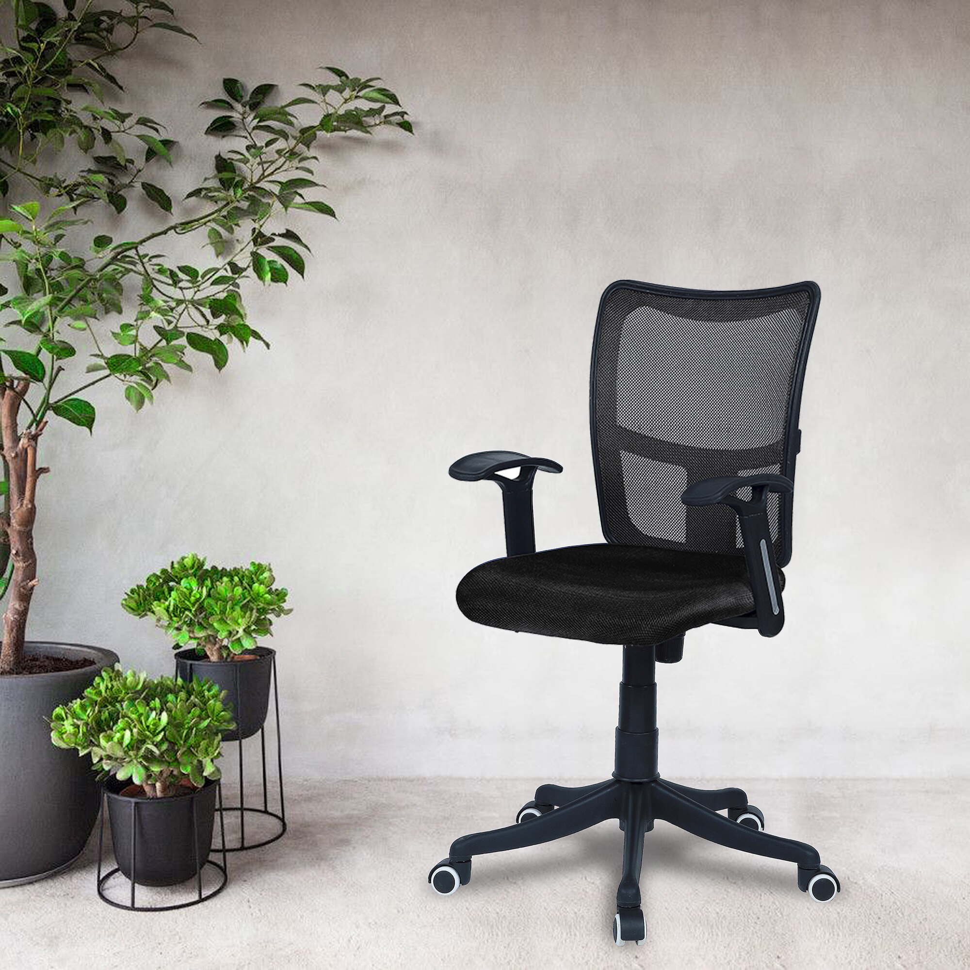 Eexcaeal Mid Back Ergonomic Chair in Black Colour