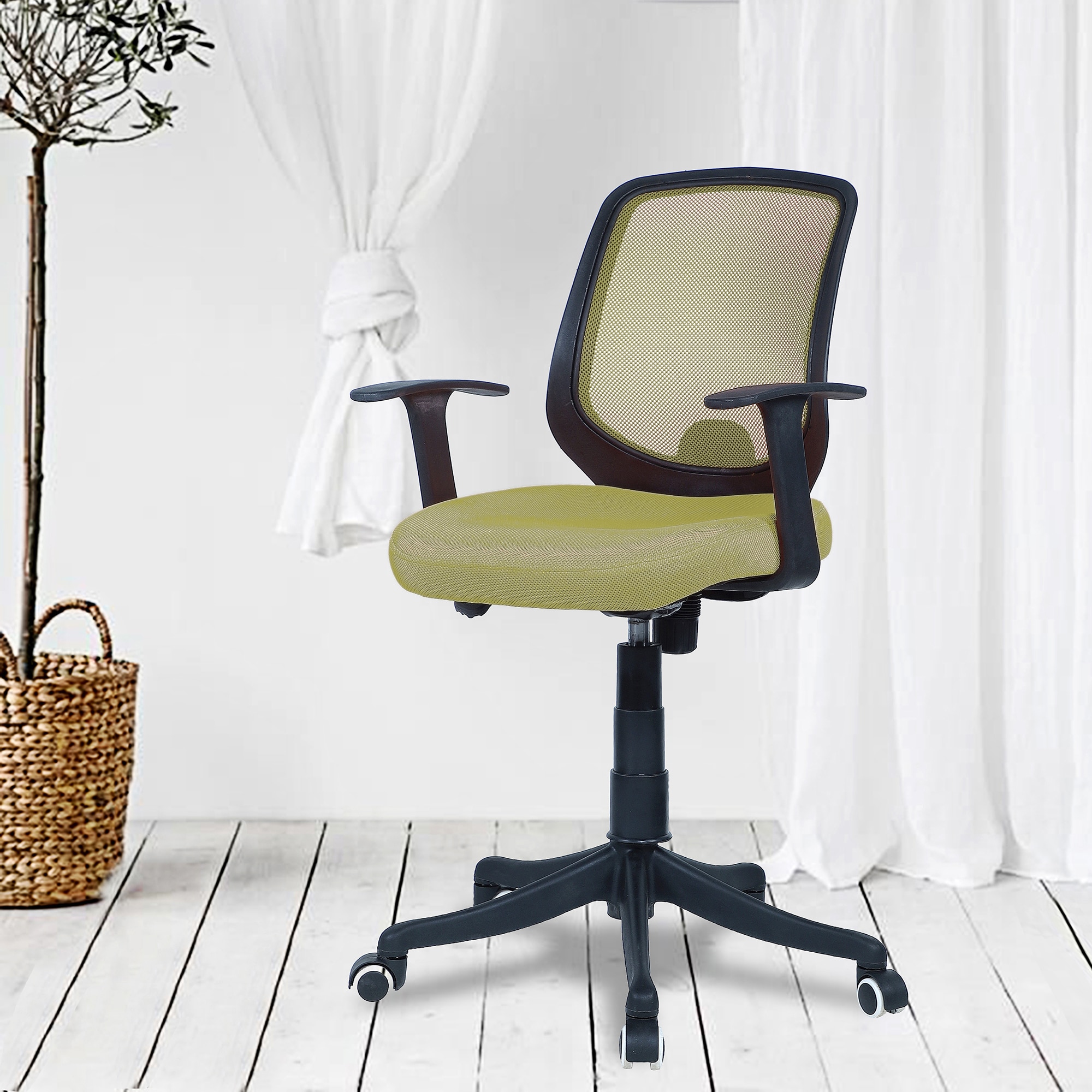 Xxeana Low Back Ergonomic Chair in Pearl Green Colour