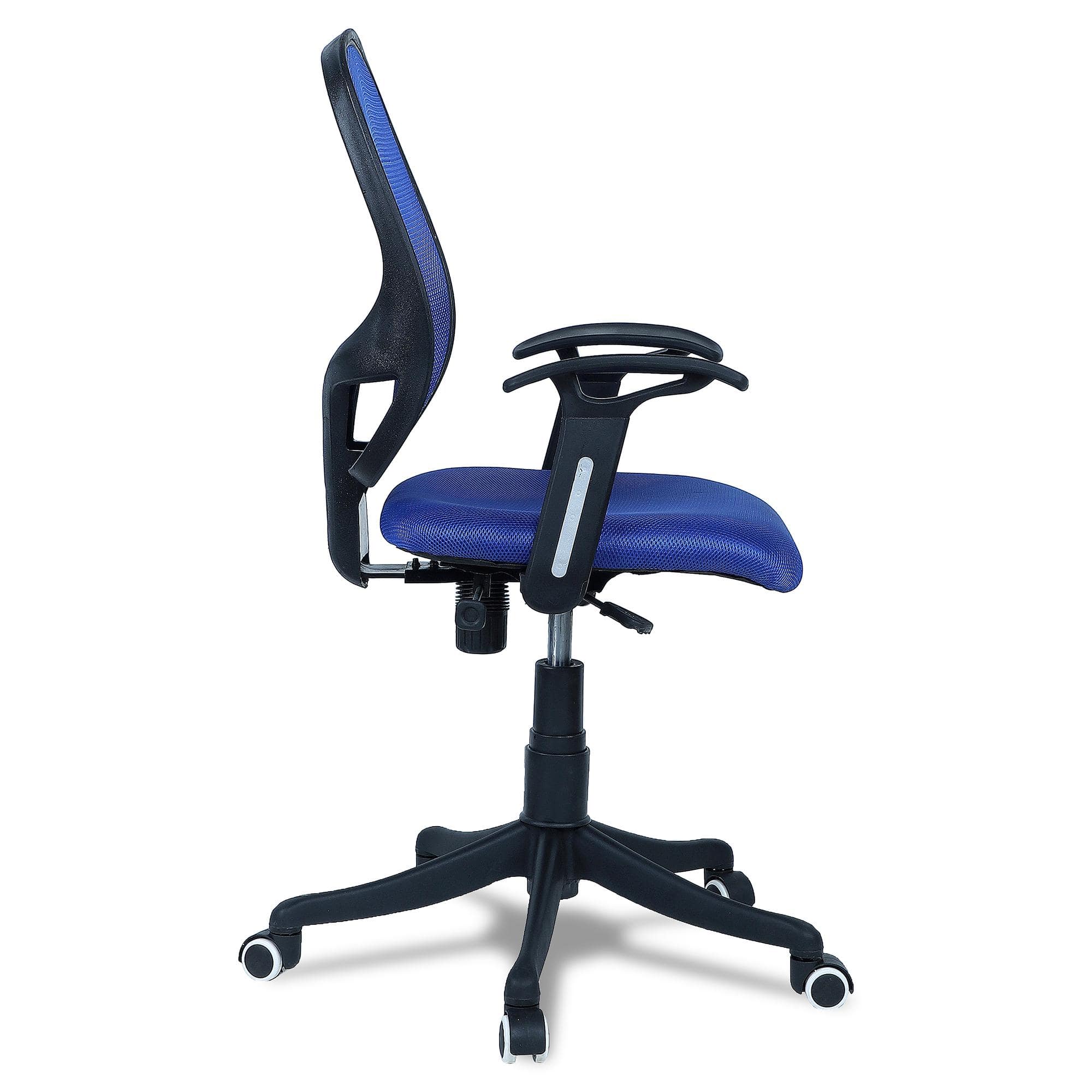 Goolda Low Back Ergonomic Chair in Blue Colour