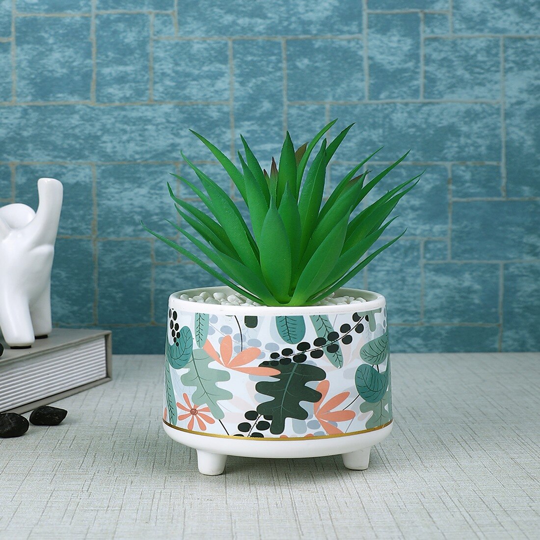Attractive Aloe Vera Plant With Leafy Print Ceramic Pot