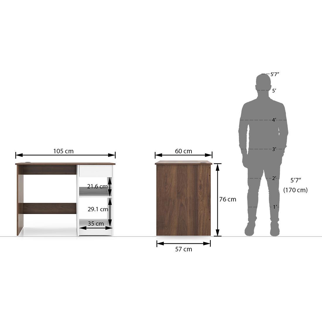 Tylor Engineered Wood Study Table in Classic Walnut Finish