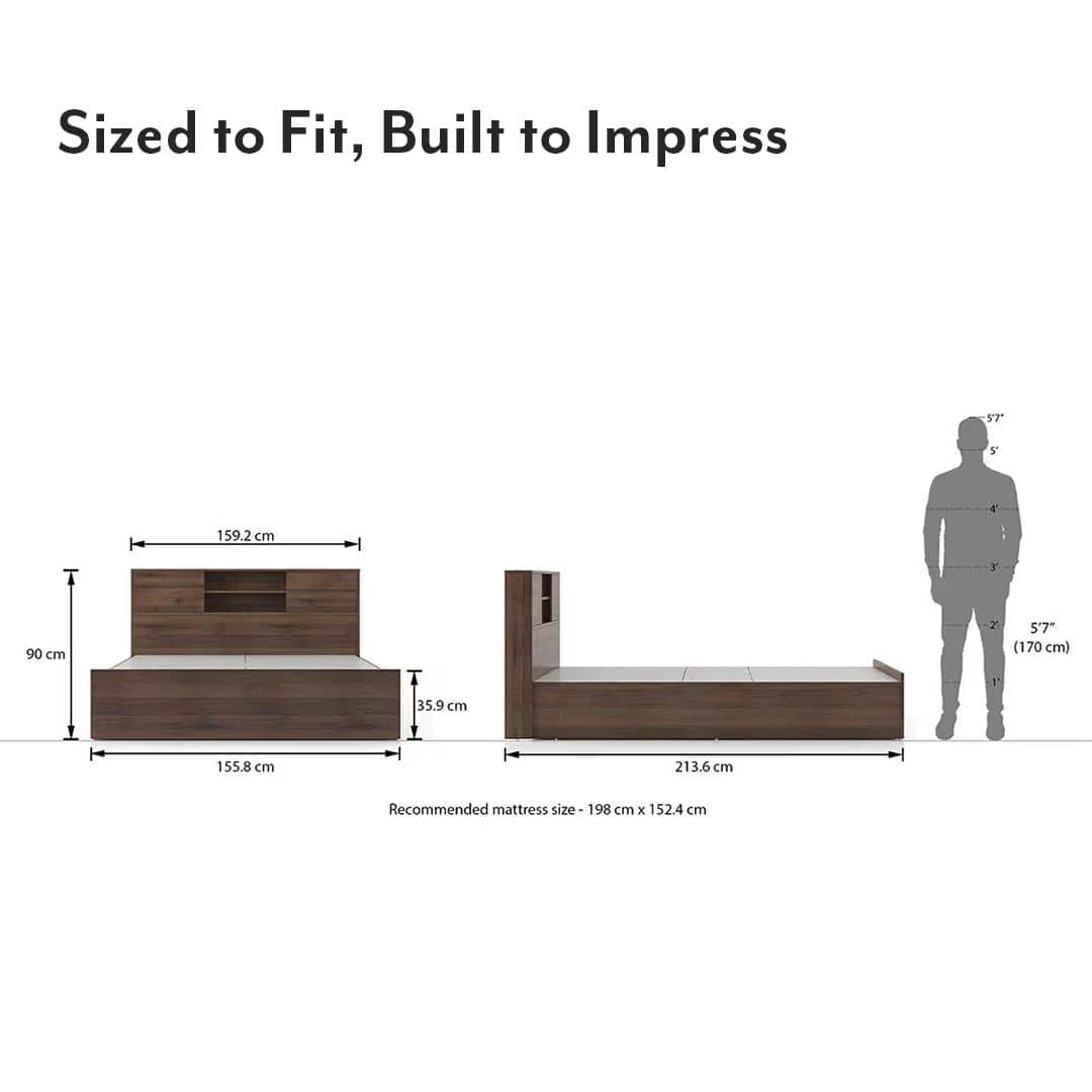 Amy Engineered Wood Queen Size Box Storage Bed In Classic Walnut Finish