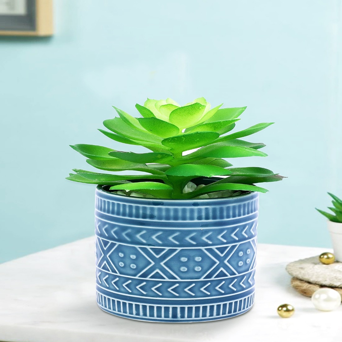 Highly Attractive Succulent Plant With A Designer Ceramic Pot